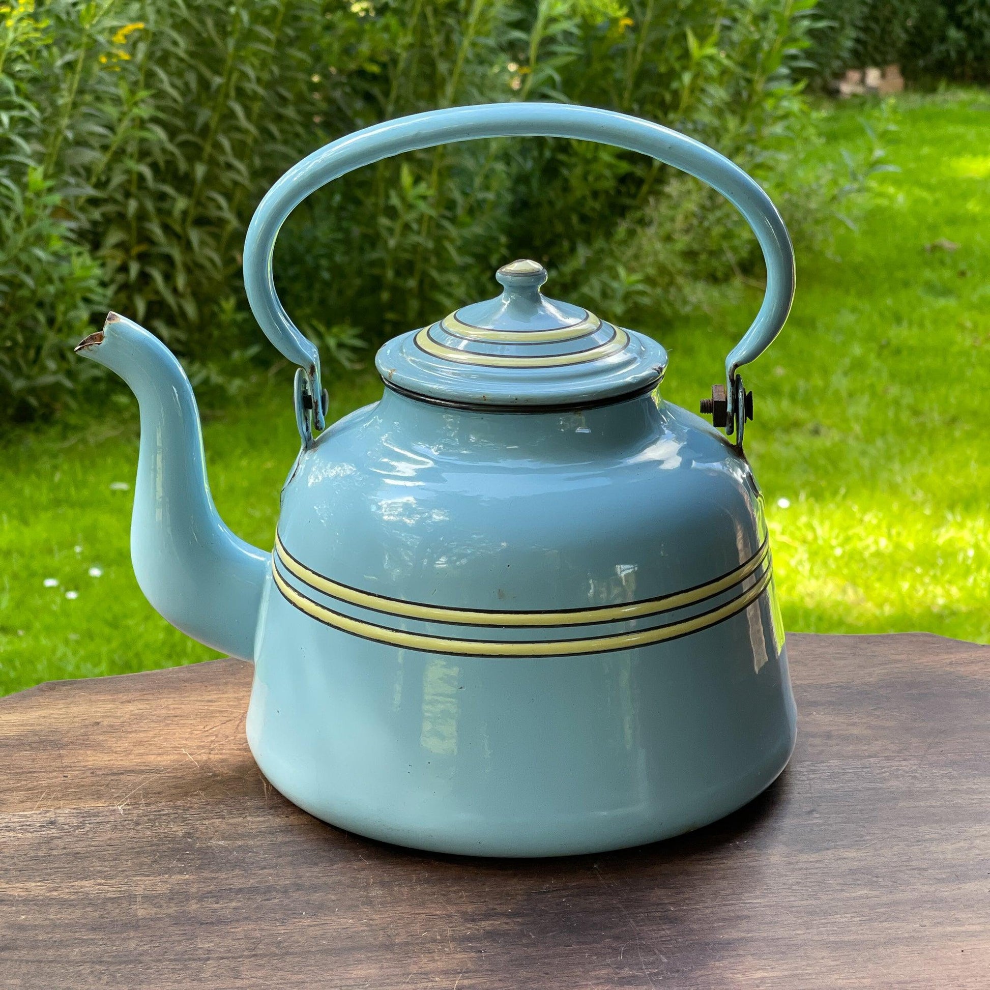 Blauwe emaille theepot / koffiepot - Bamestra Curiosa