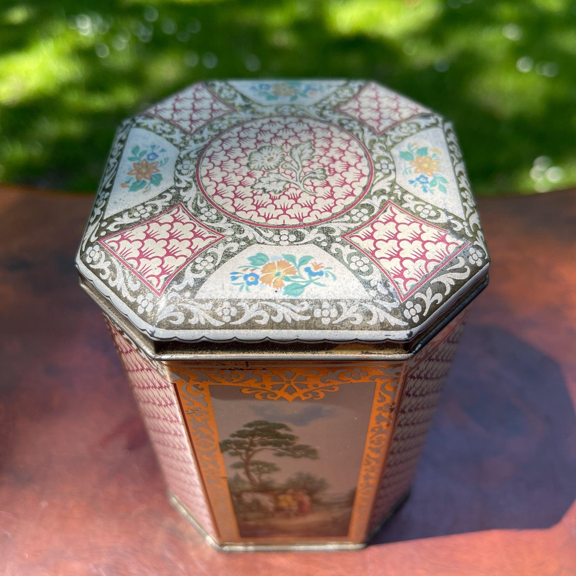 Blik - Bamestra Curiosa