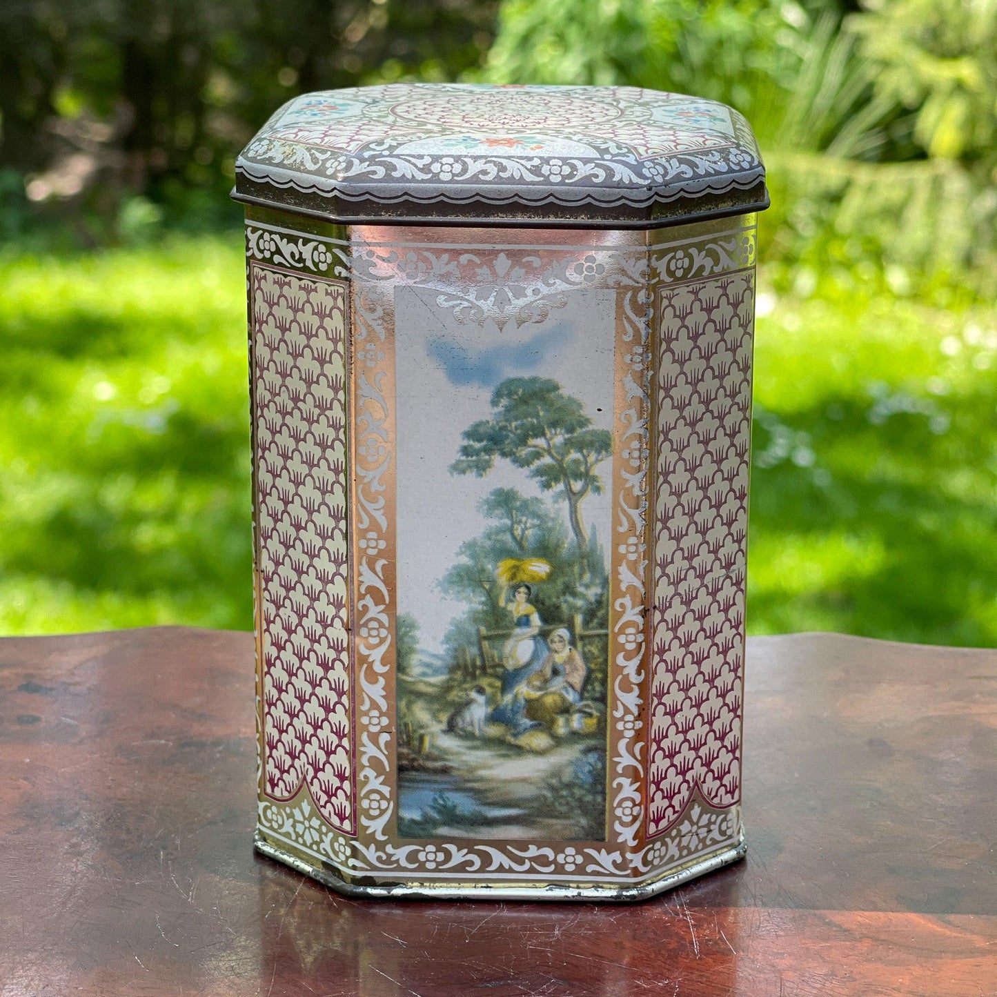 Blik - Bamestra Curiosa