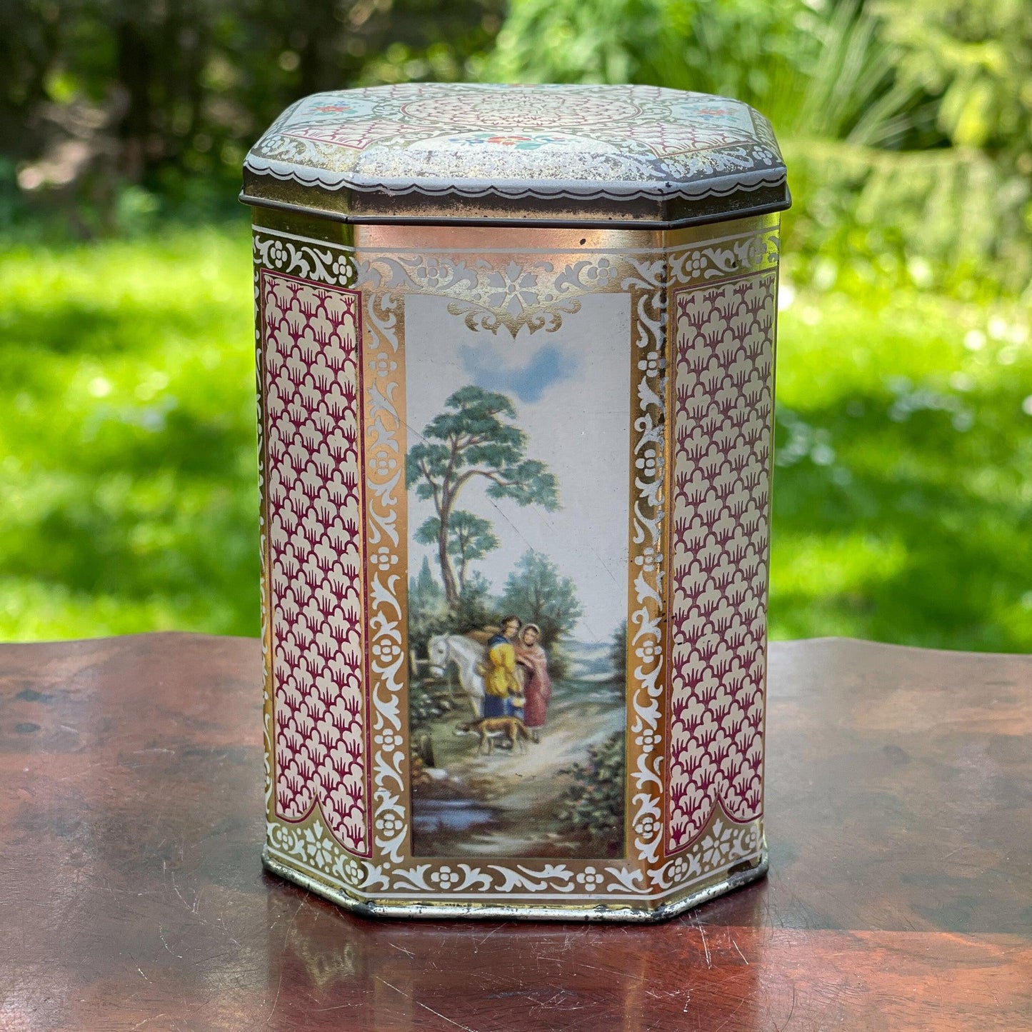 Blik - Bamestra Curiosa