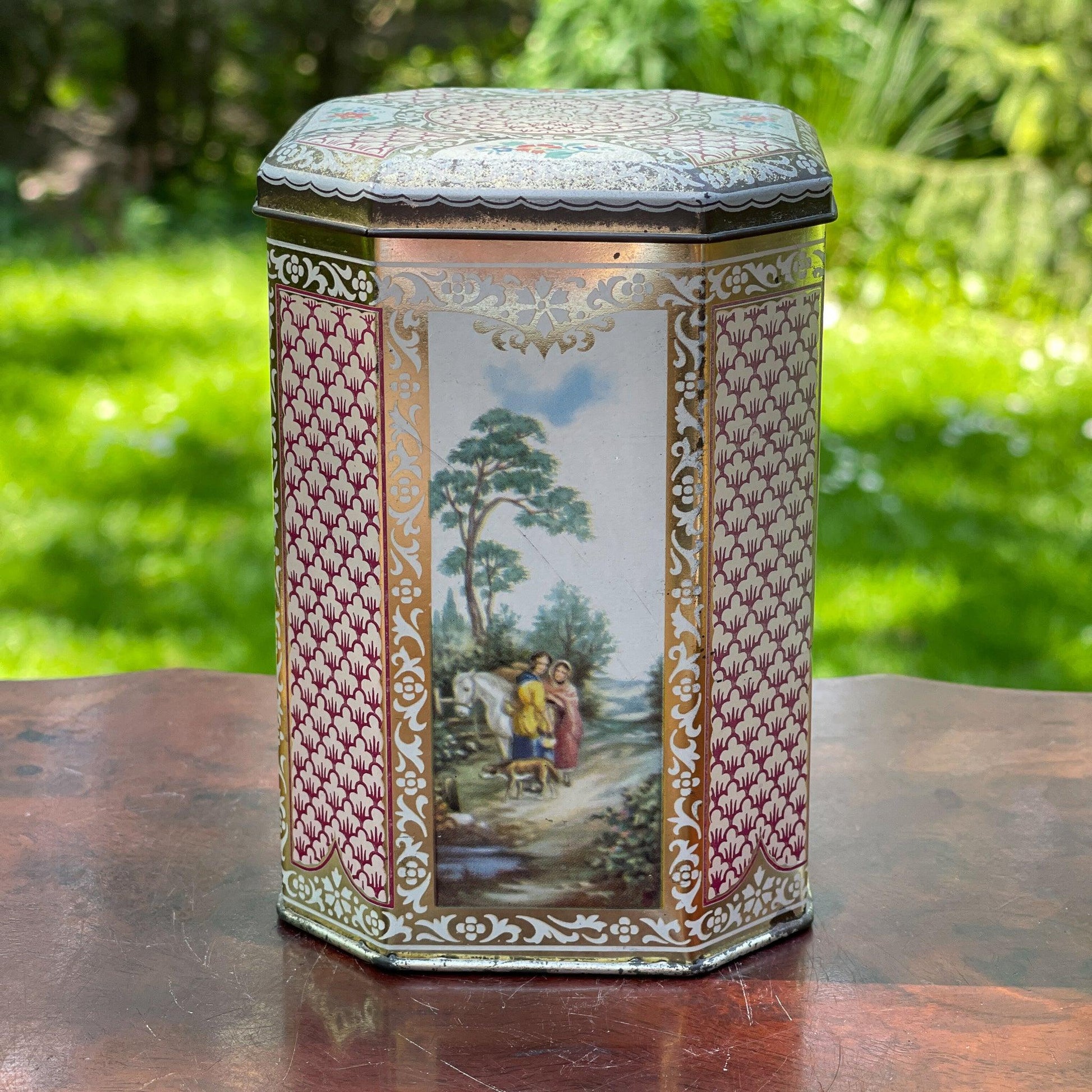 Blik - Bamestra Curiosa