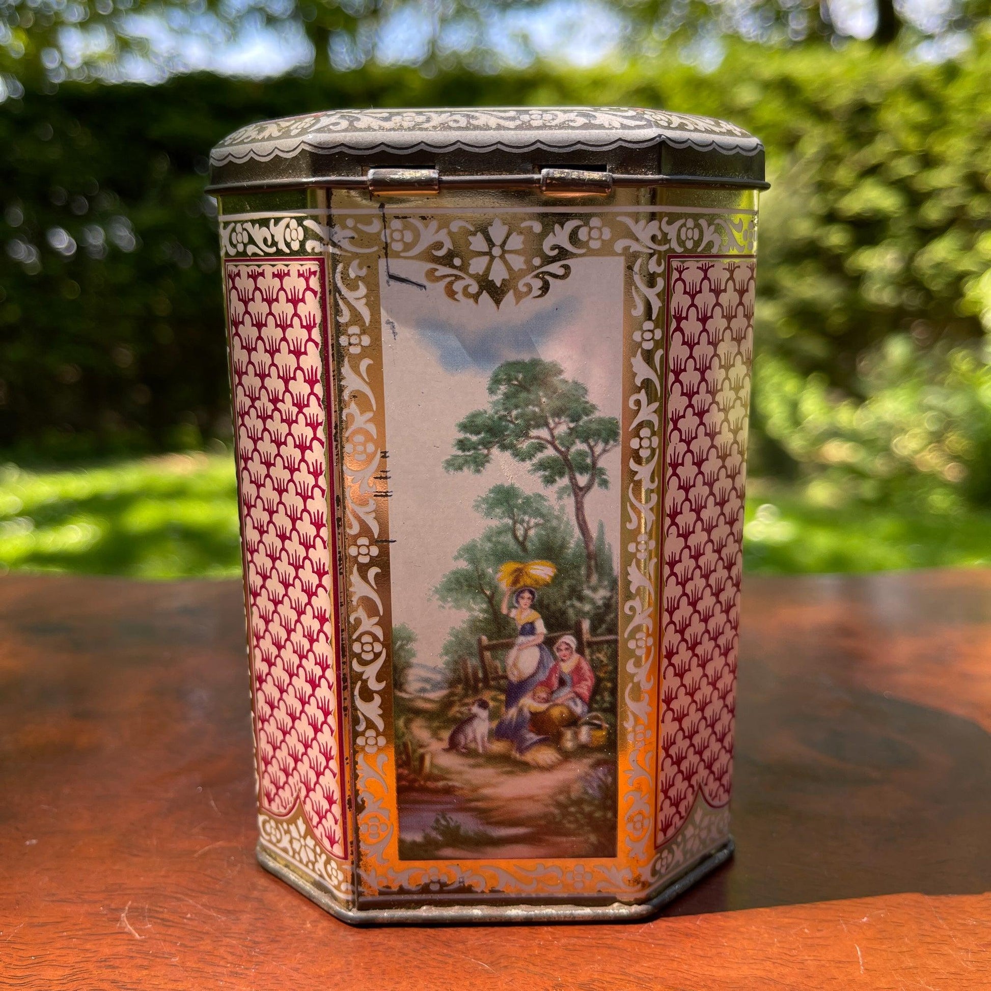 Blik - Bamestra Curiosa