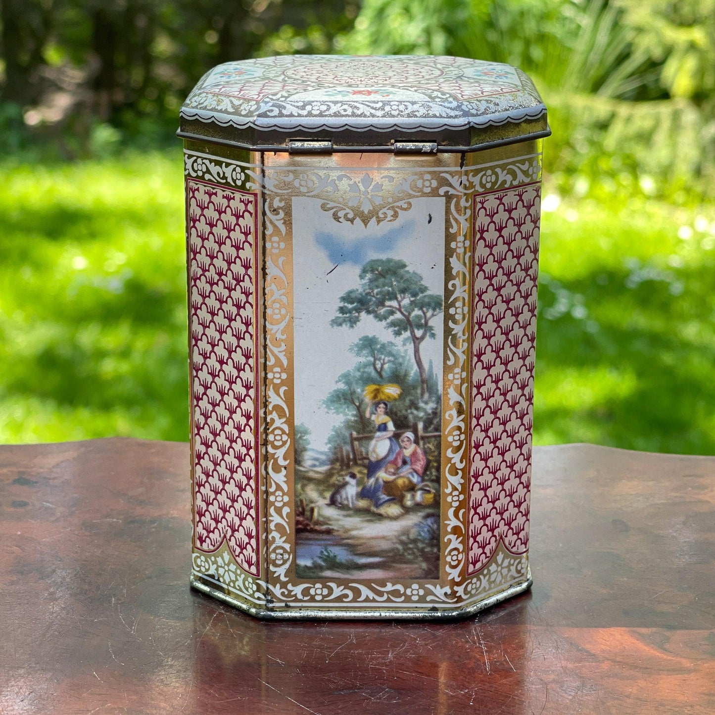 Blik - Bamestra Curiosa