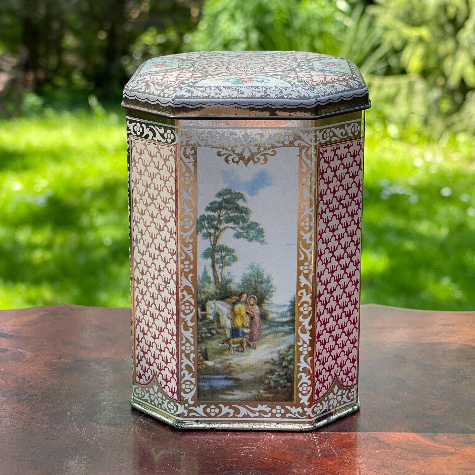 Blik - Bamestra Curiosa