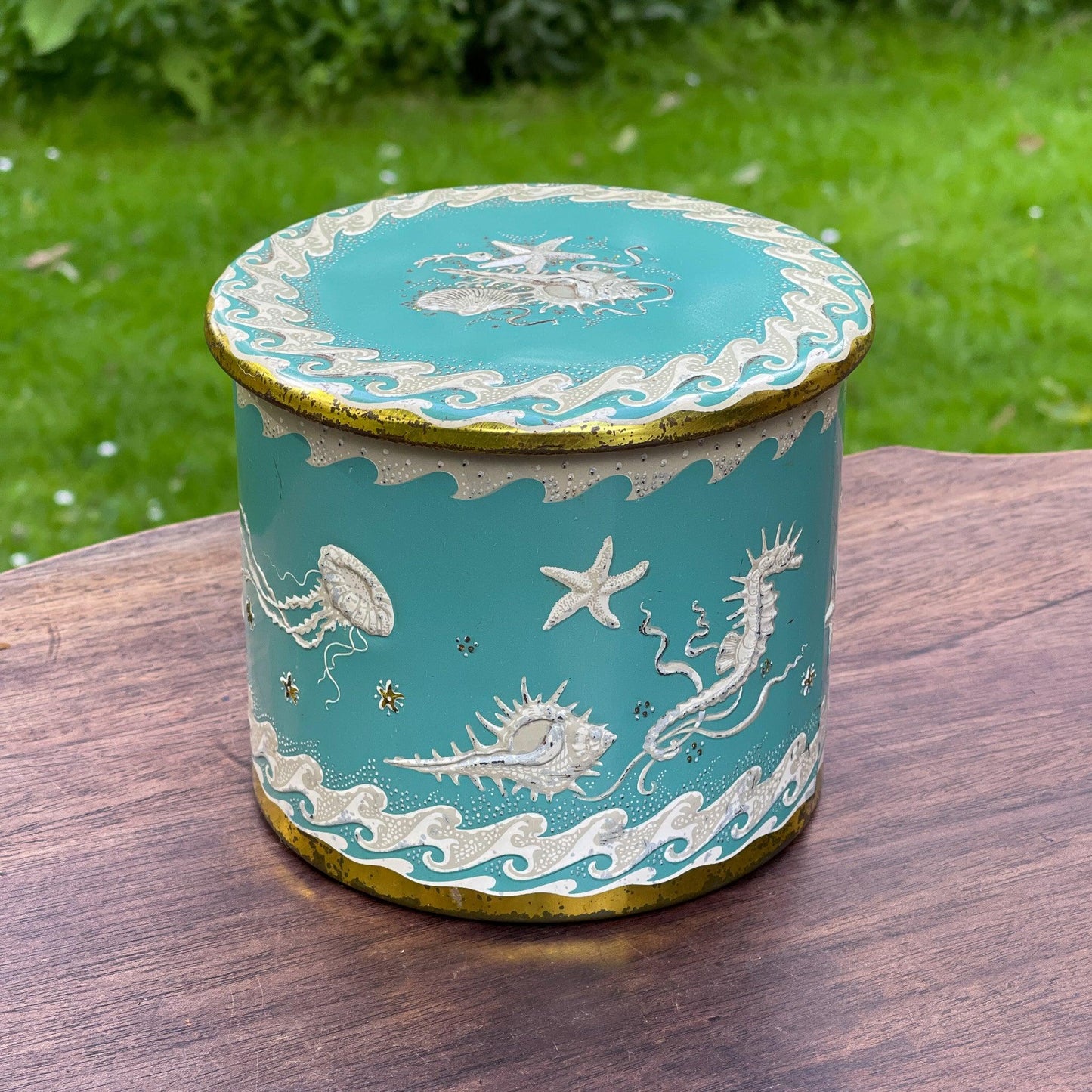 Blik met Zeepaardjes Kwallen en Zeesterren - Bamestra Curiosa