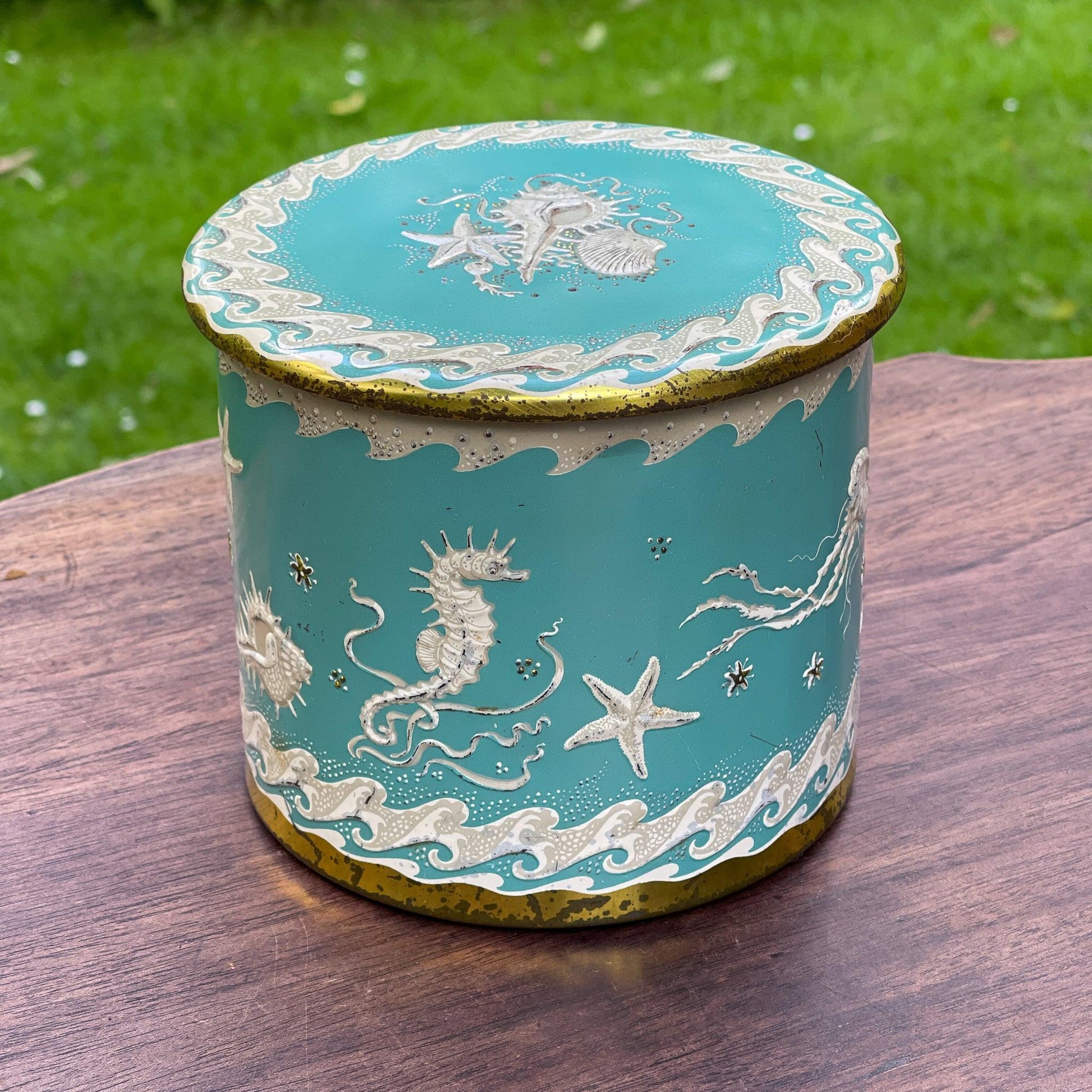 Blik met Zeepaardjes Kwallen en Zeesterren - Bamestra Curiosa