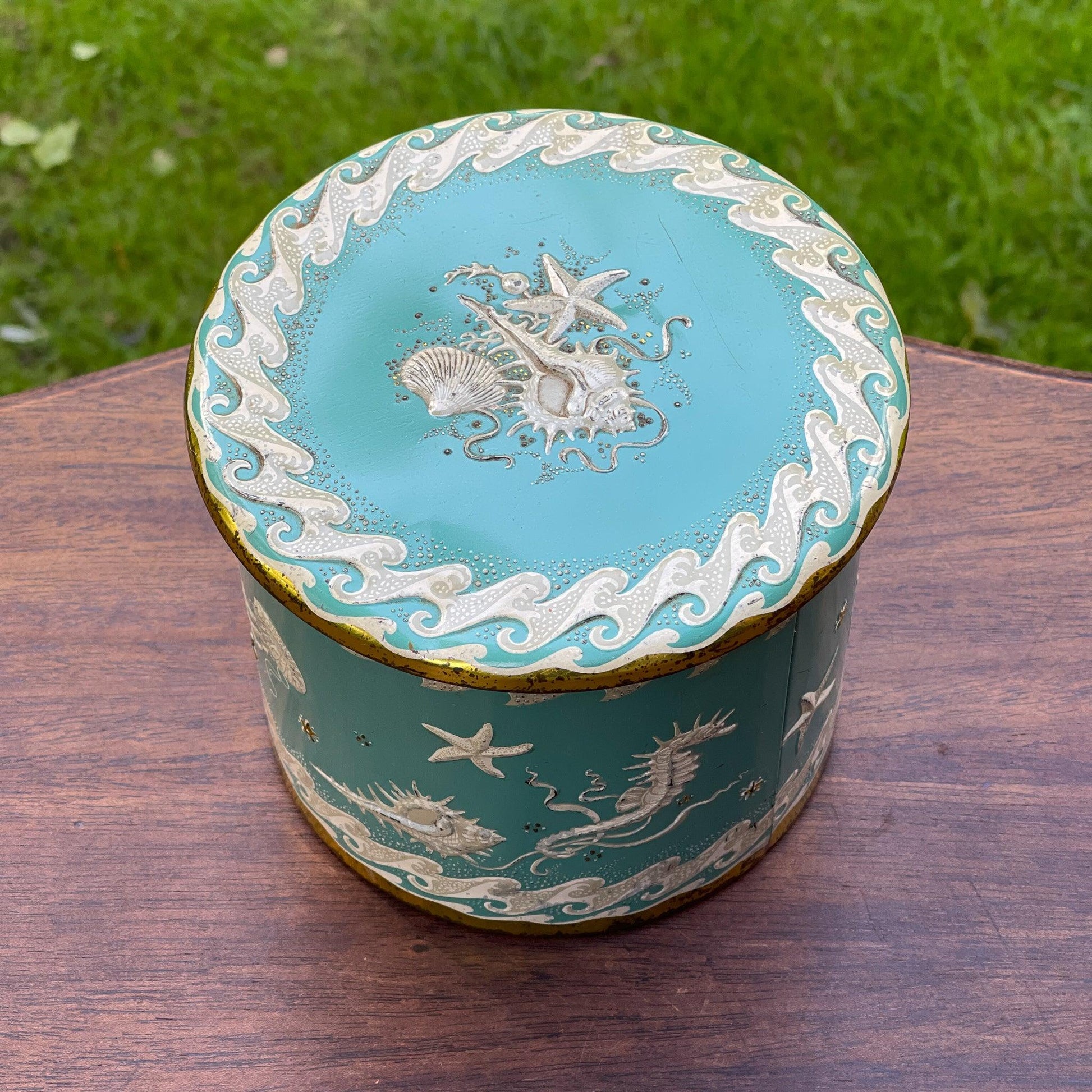 Blik met Zeepaardjes Kwallen en Zeesterren - Bamestra Curiosa