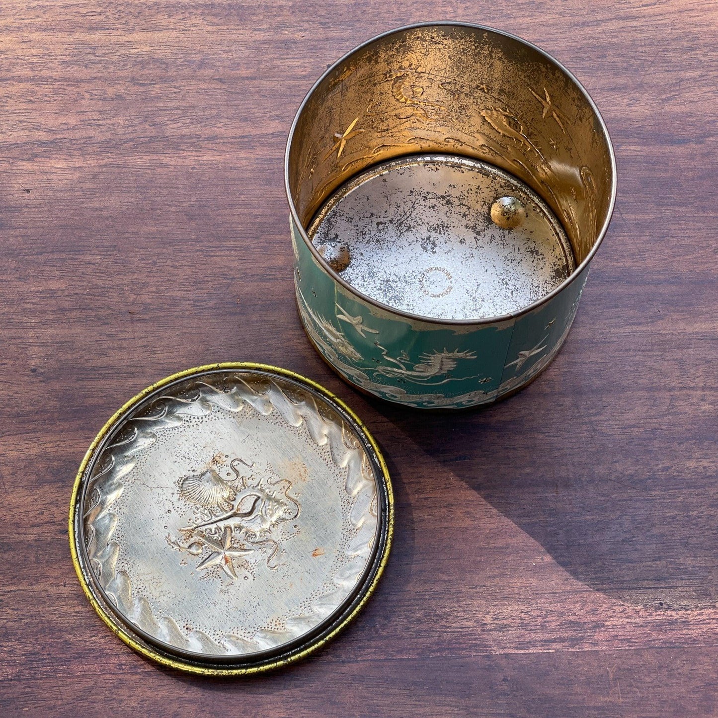 Blik met Zeepaardjes Kwallen en Zeesterren - Bamestra Curiosa