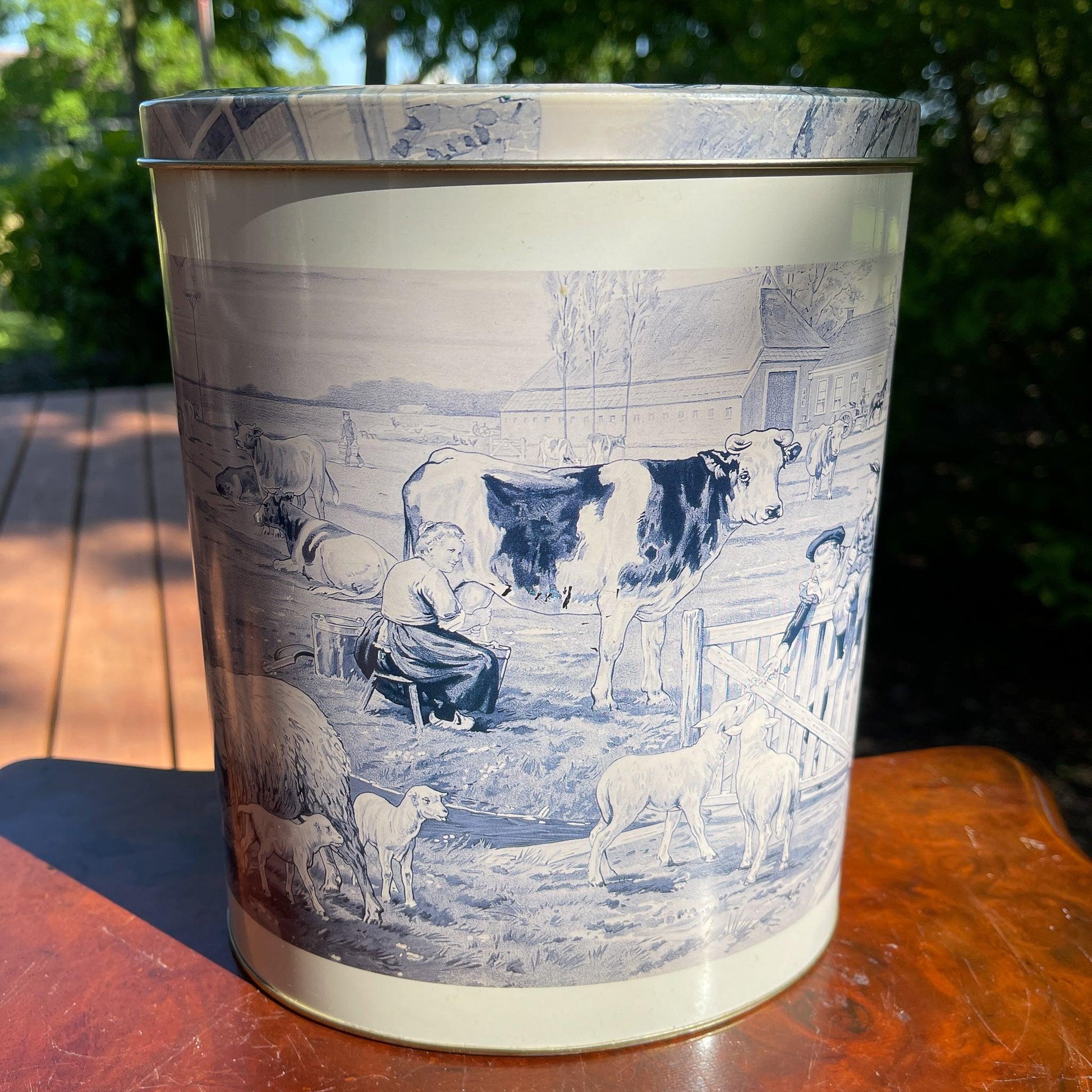 Blik van Ot en Sien - Bamestra Curiosa