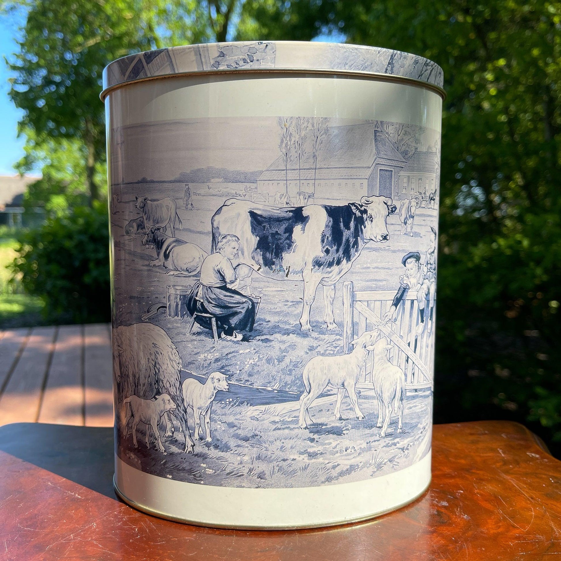 Blik van Ot en Sien - Bamestra Curiosa