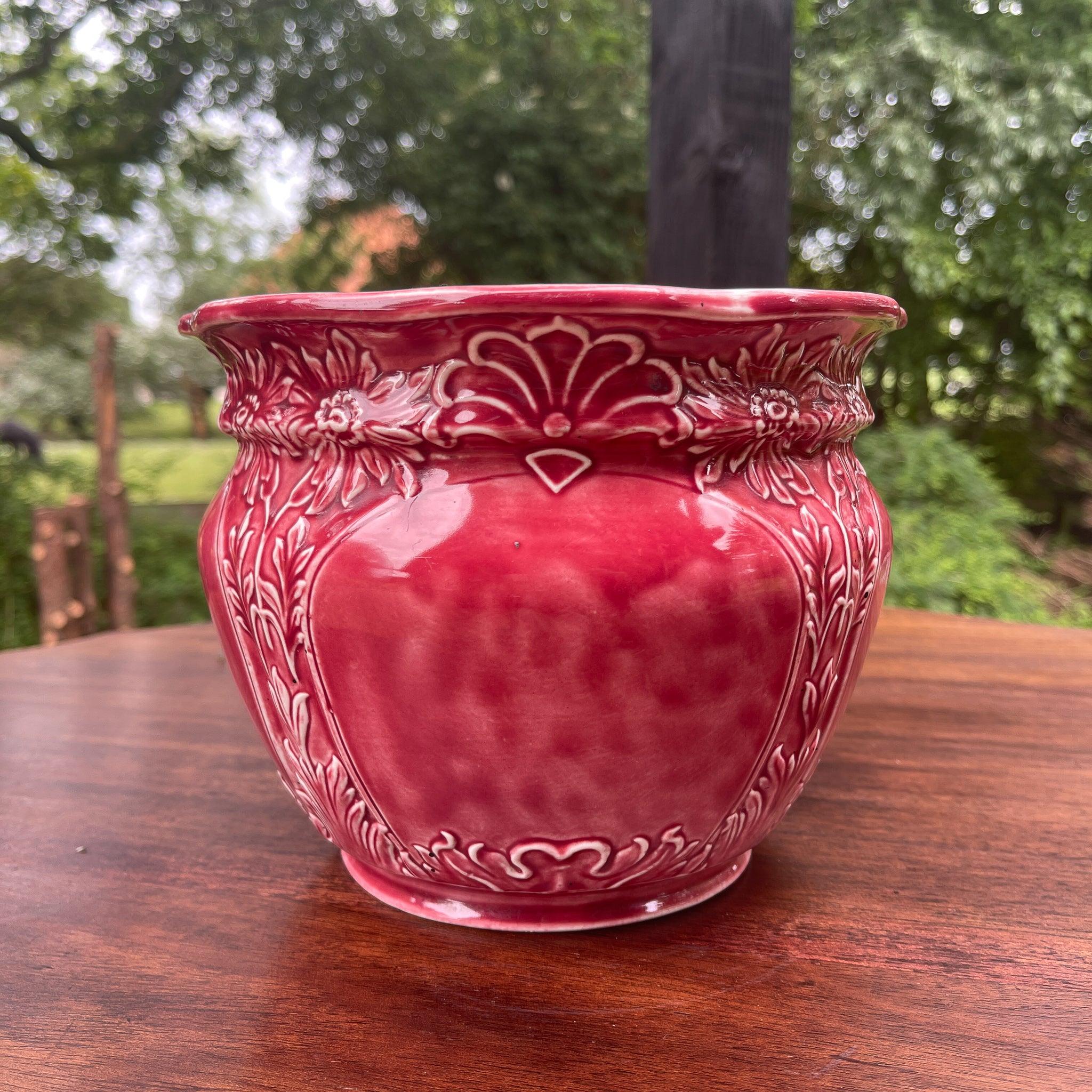 Bloempot - Bamestra Curiosa