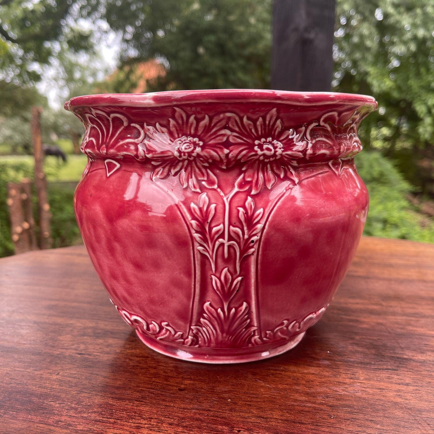 Bloempot - Bamestra Curiosa