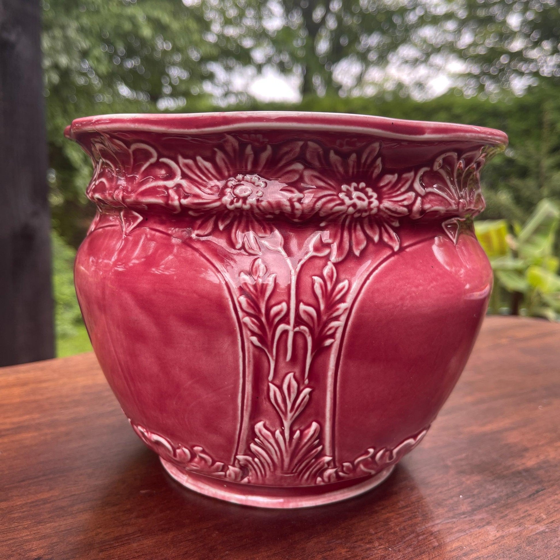 Bloempot - Bamestra Curiosa