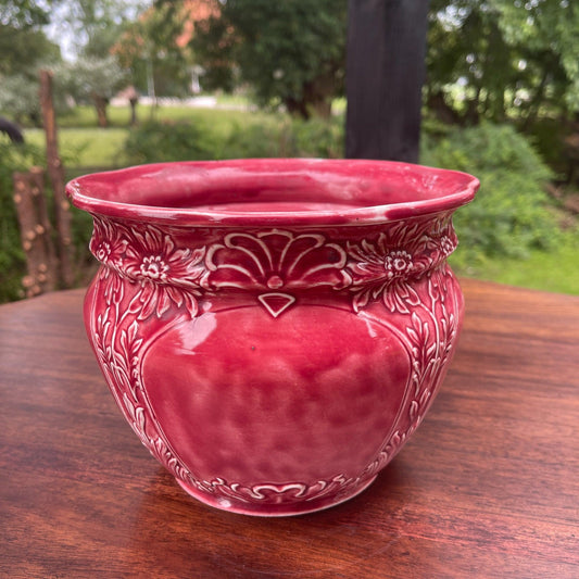 Bloempot - Bamestra Curiosa