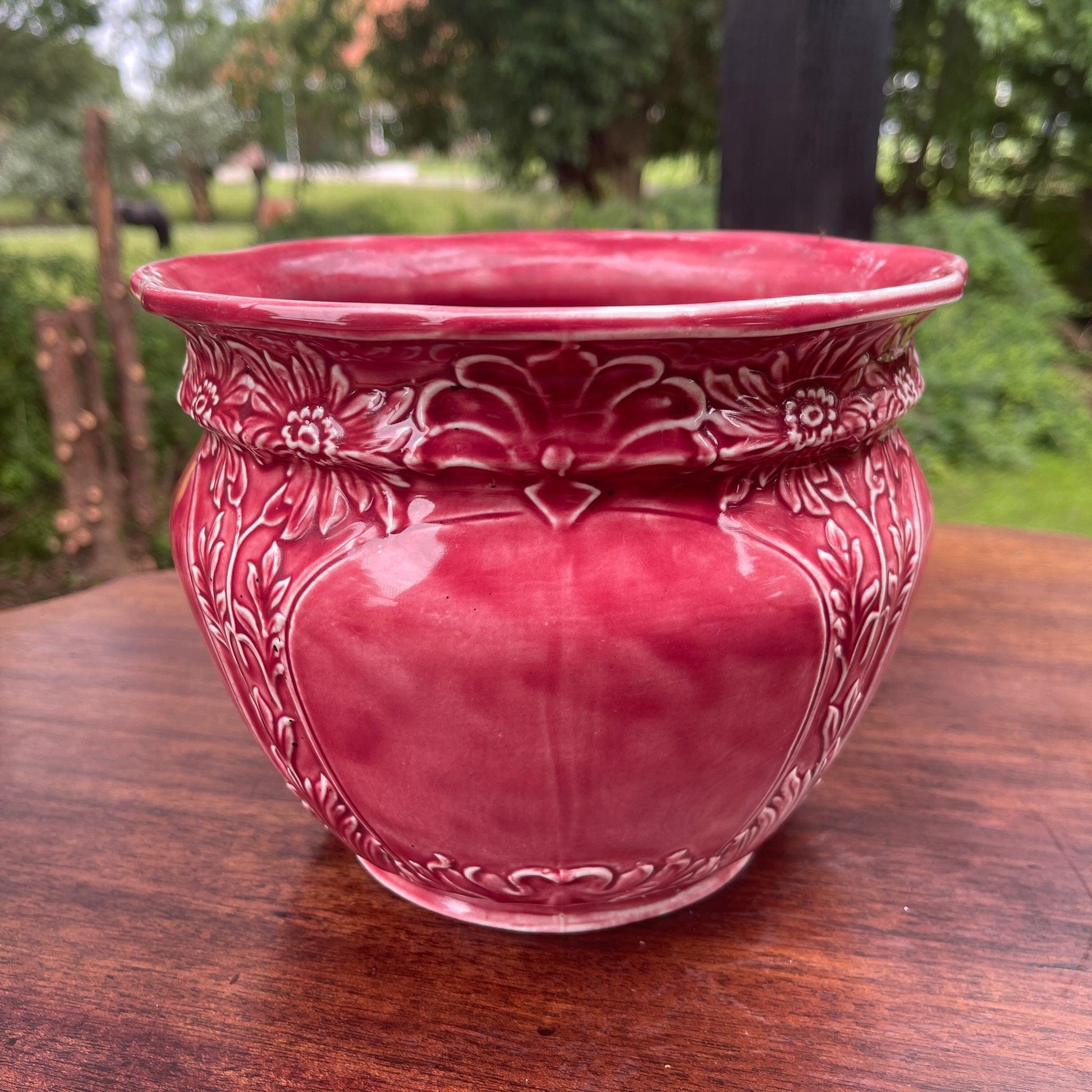 Bloempot - Bamestra Curiosa