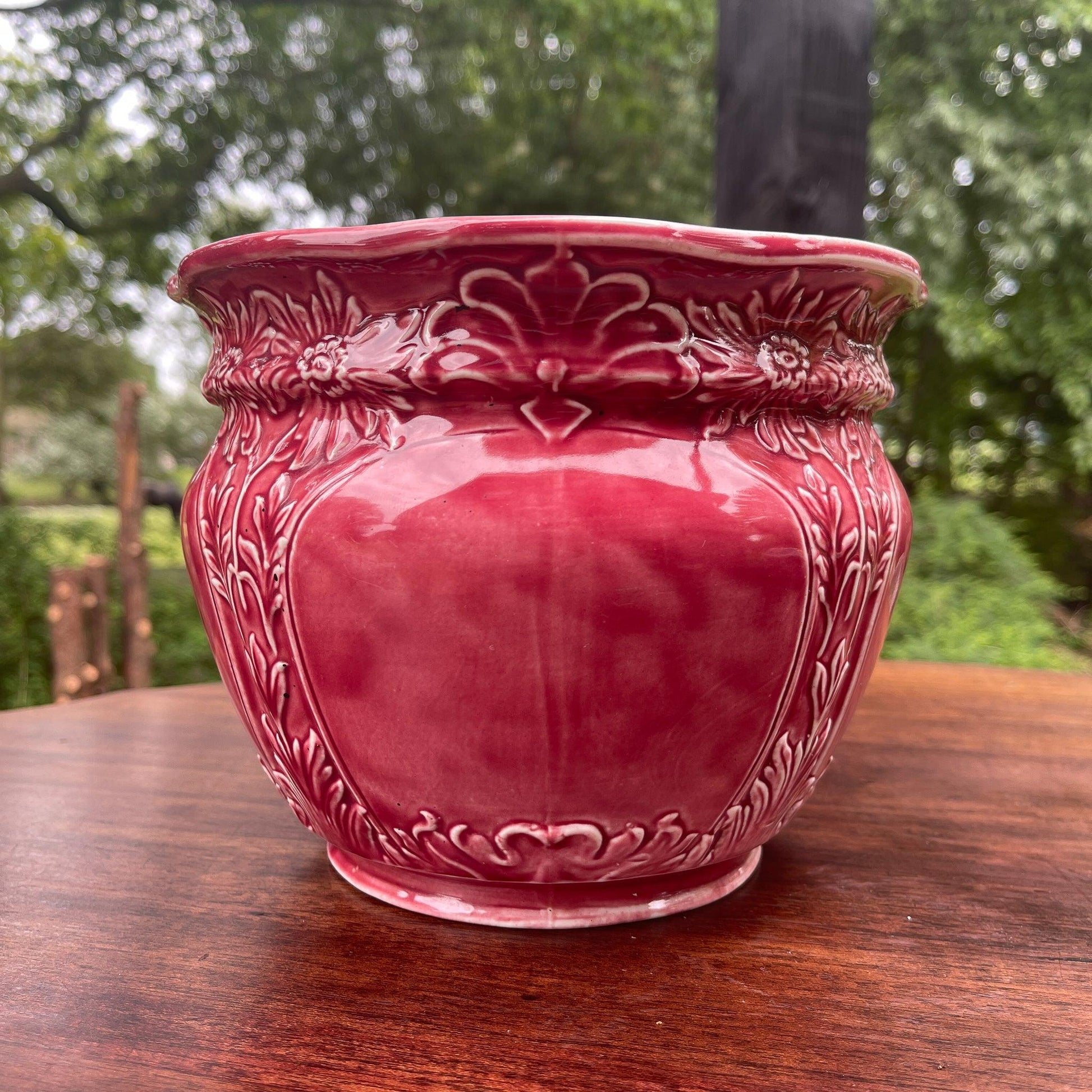 Bloempot - Bamestra Curiosa