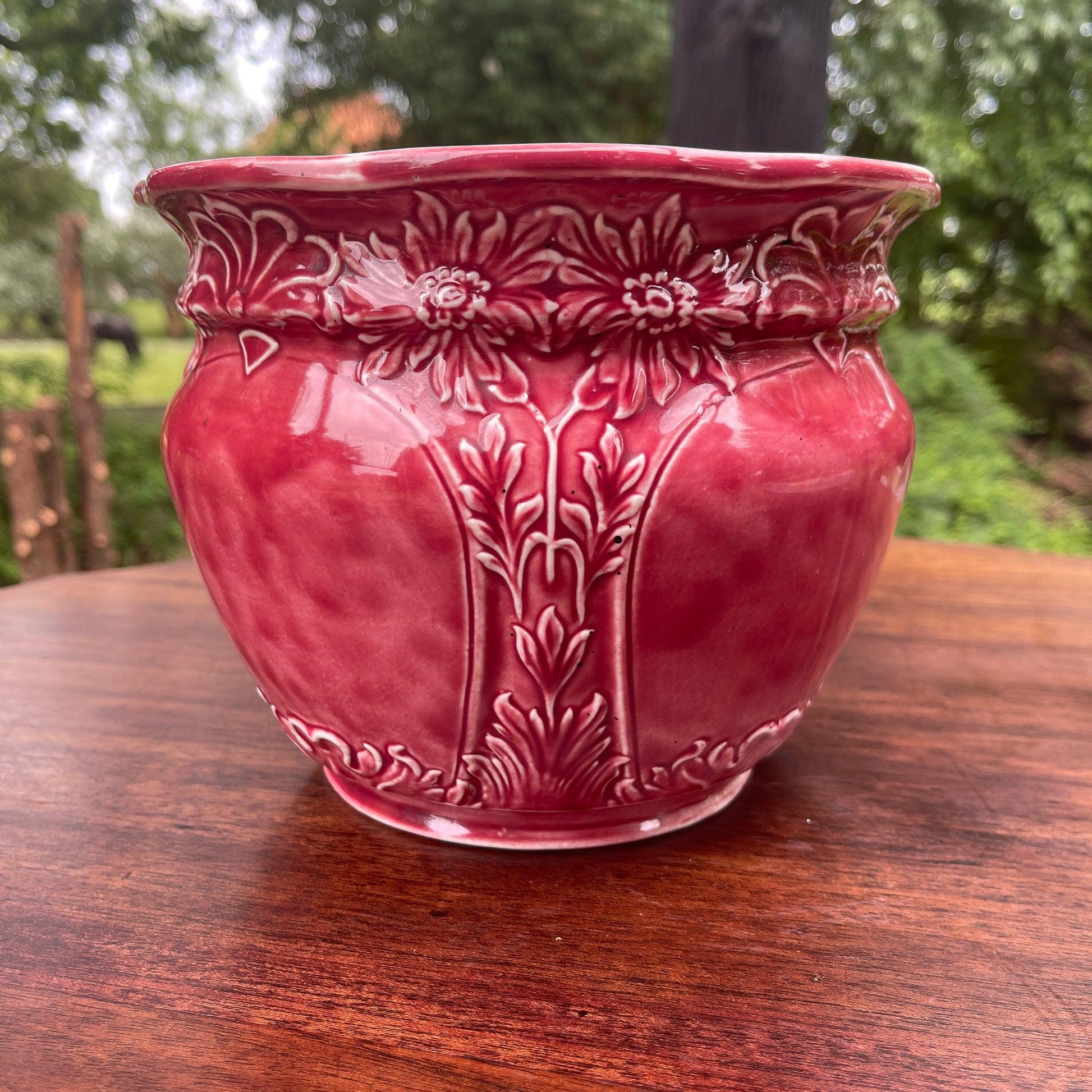 Bloempot - Bamestra Curiosa