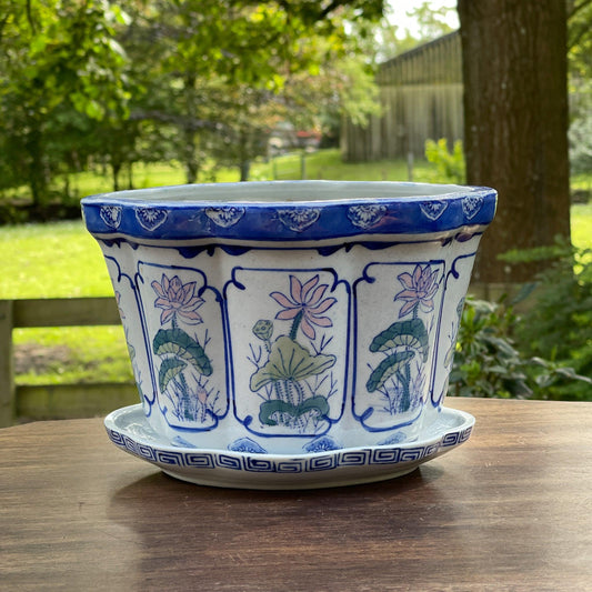 Bloempot met schaal - Bamestra Curiosa