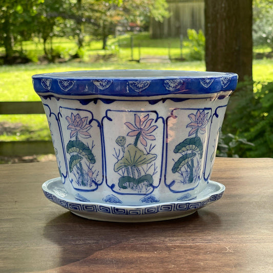 Bloempot met schaal - Bamestra Curiosa