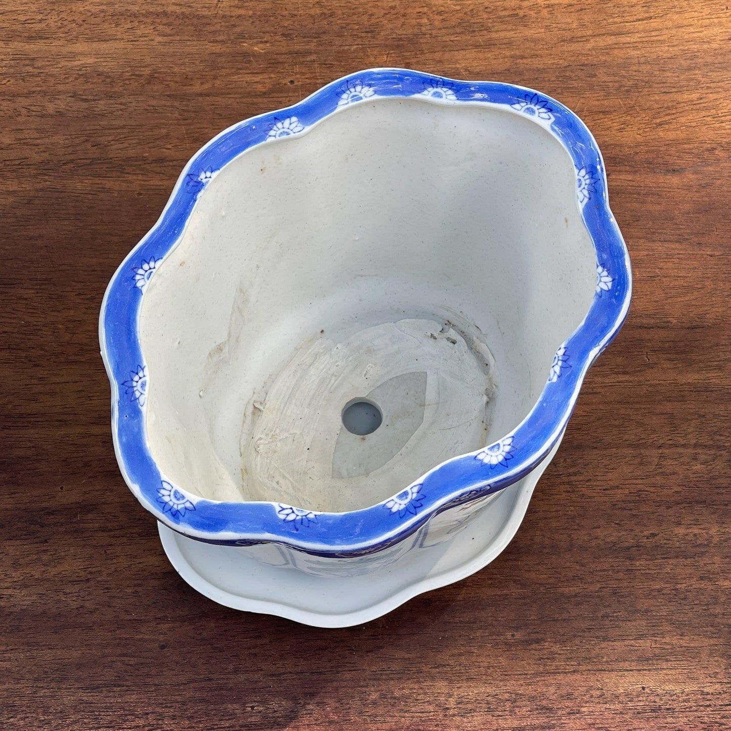 Bloempot met schaal - Bamestra Curiosa