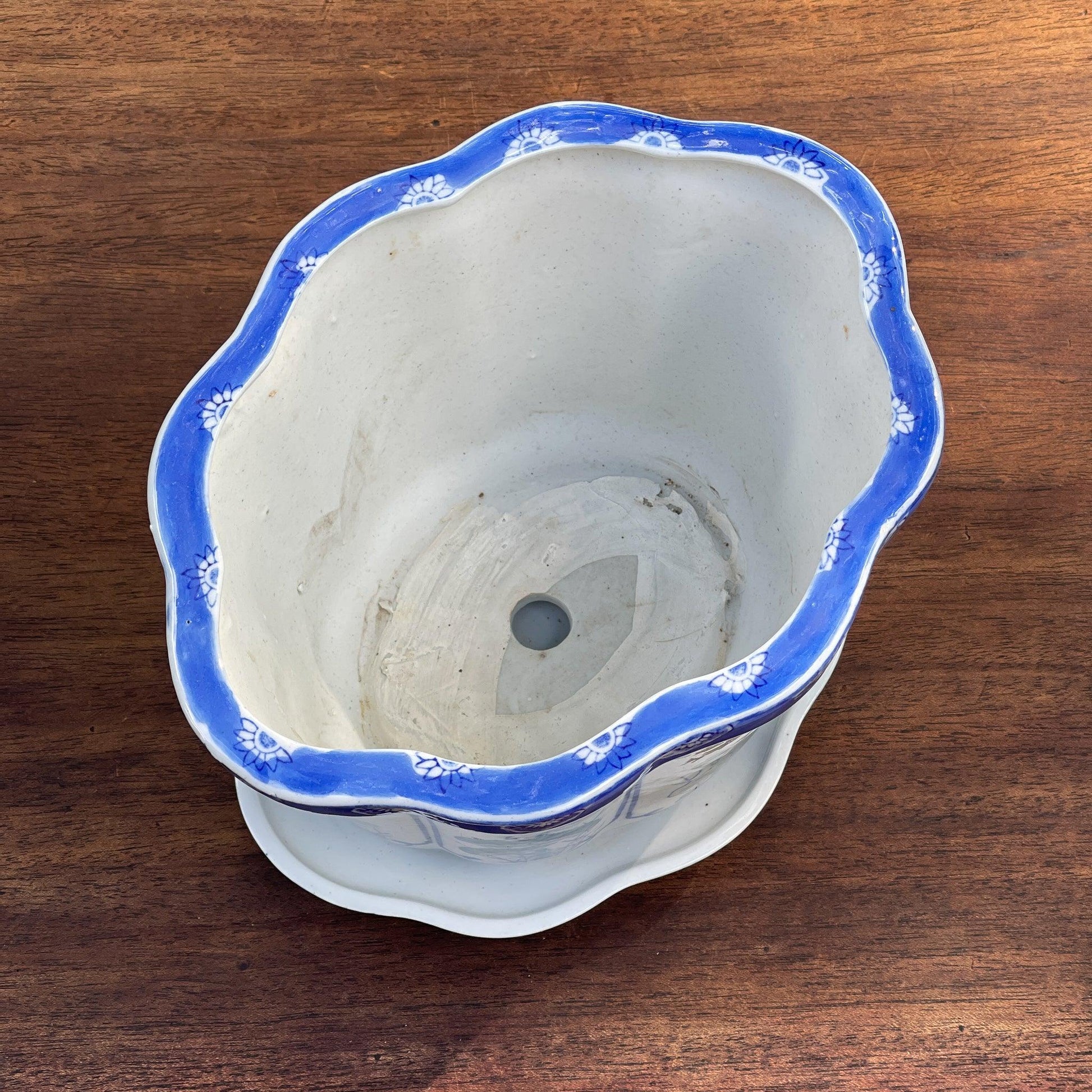 Bloempot met schaal - Bamestra Curiosa