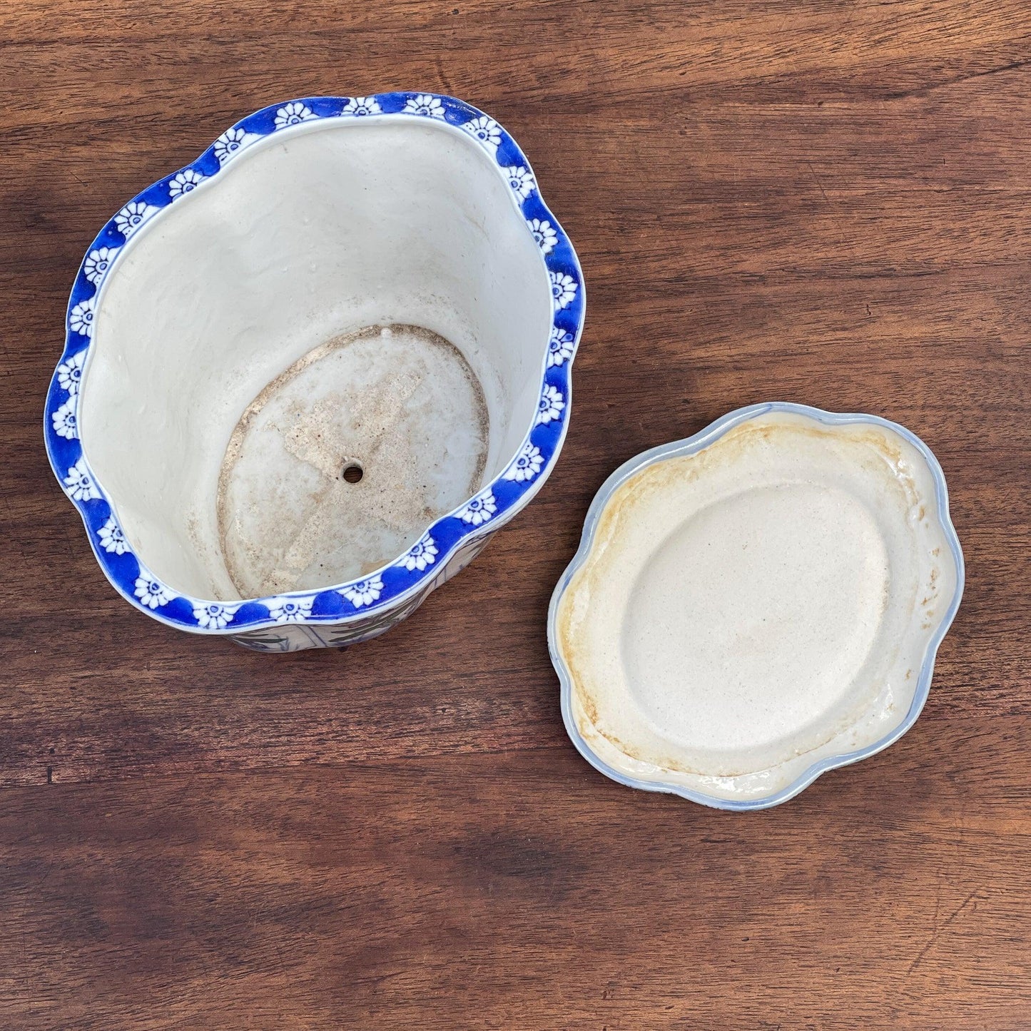 Bloempot op schaal - Bamestra Curiosa