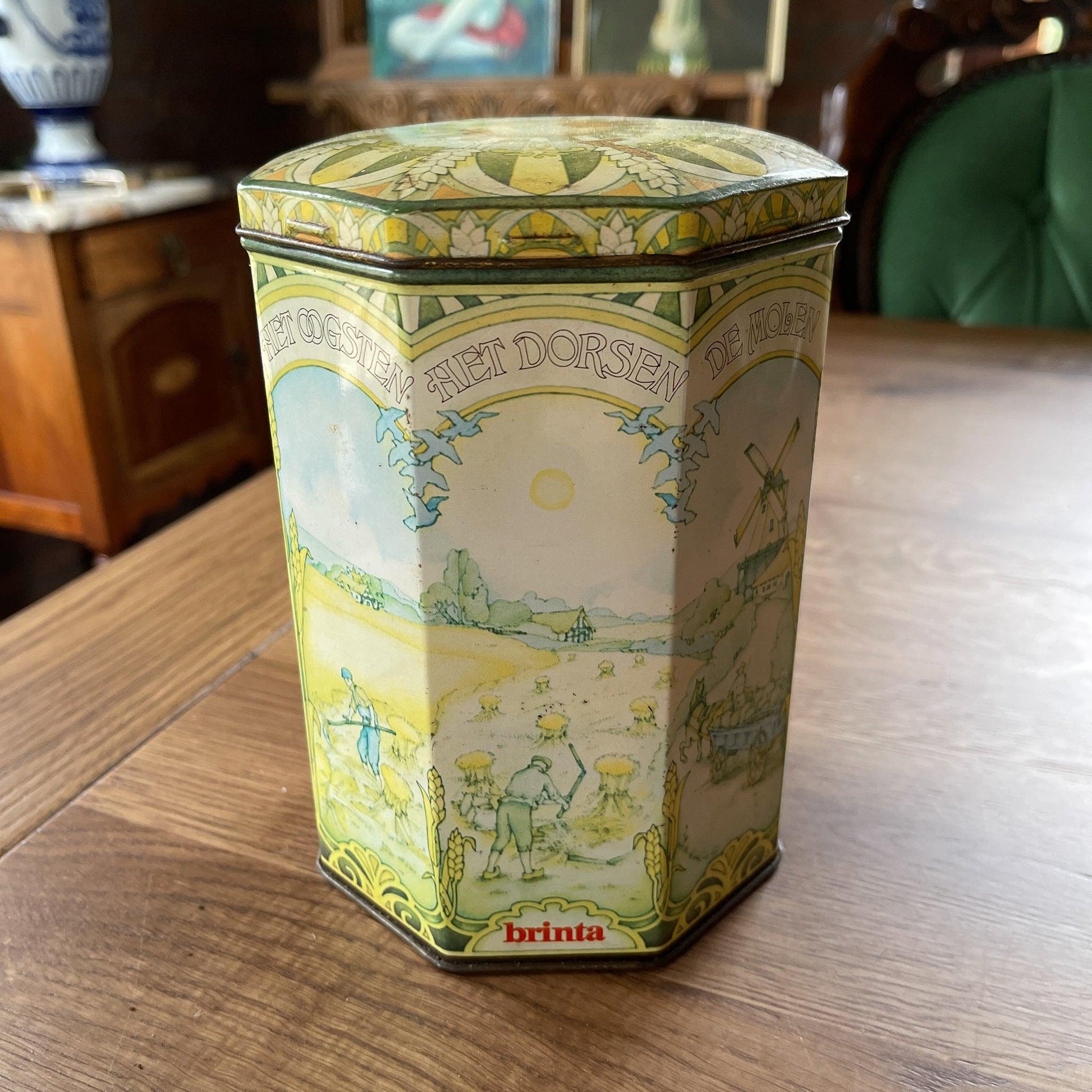 Brinta blik - Bamestra Curiosa