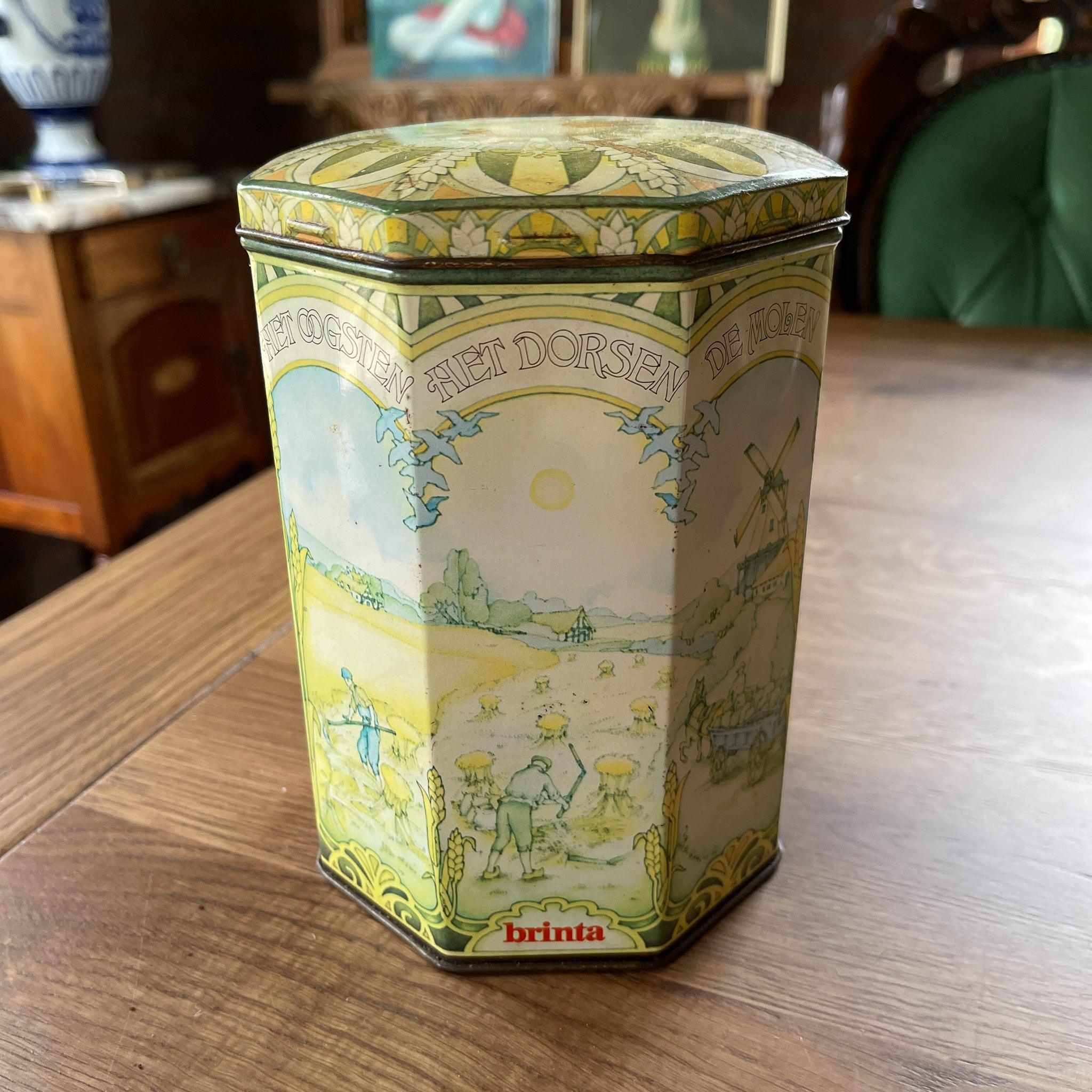 Brinta blik - Bamestra Curiosa