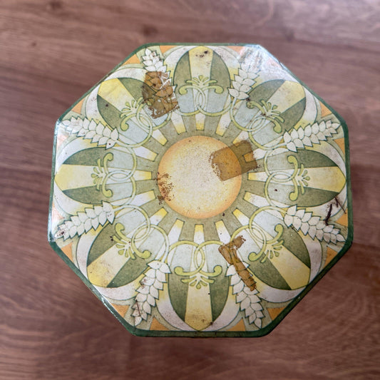 Brinta blik - Bamestra Curiosa