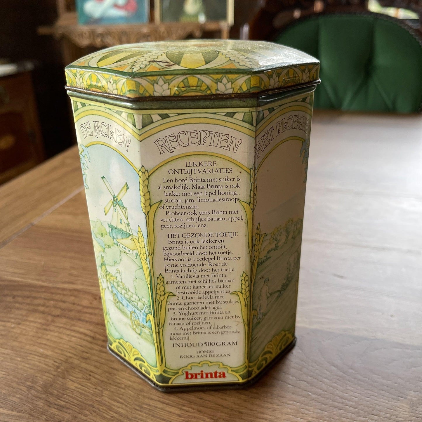 Brinta blik - Bamestra Curiosa