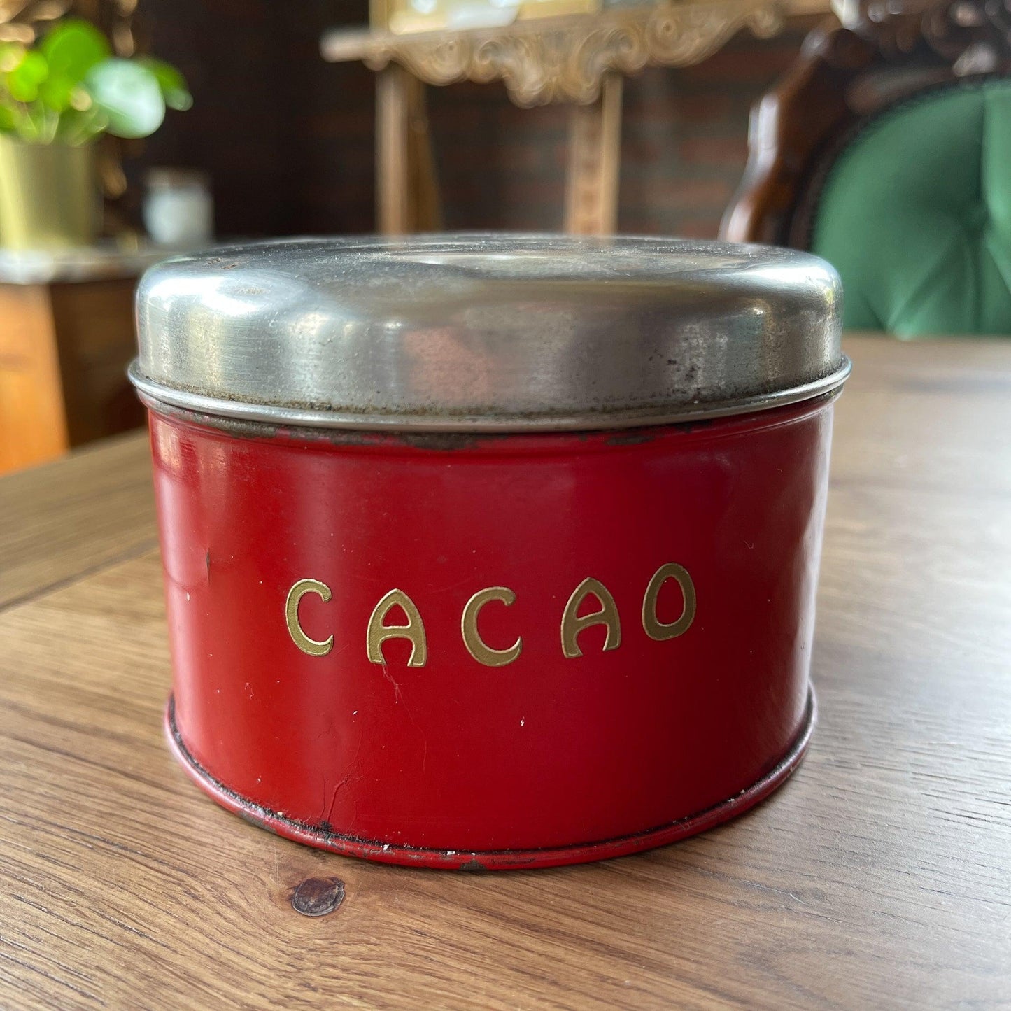 Cacao blik - Bamestra Curiosa