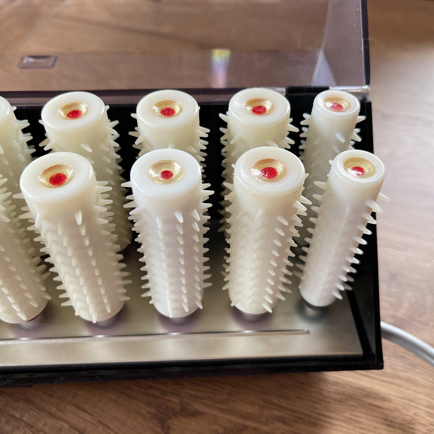 Carmen 18 krulset - Bamestra Curiosa