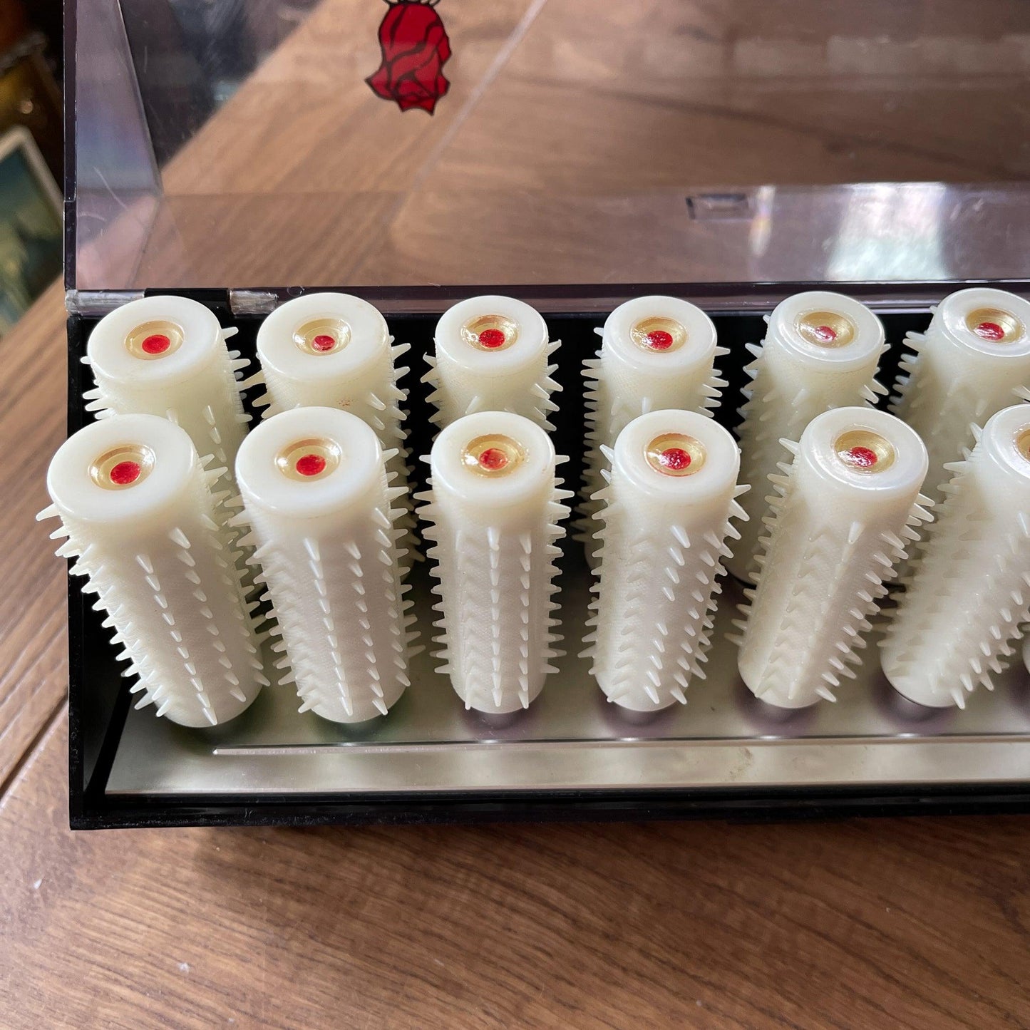 Carmen 18 krulset - Bamestra Curiosa