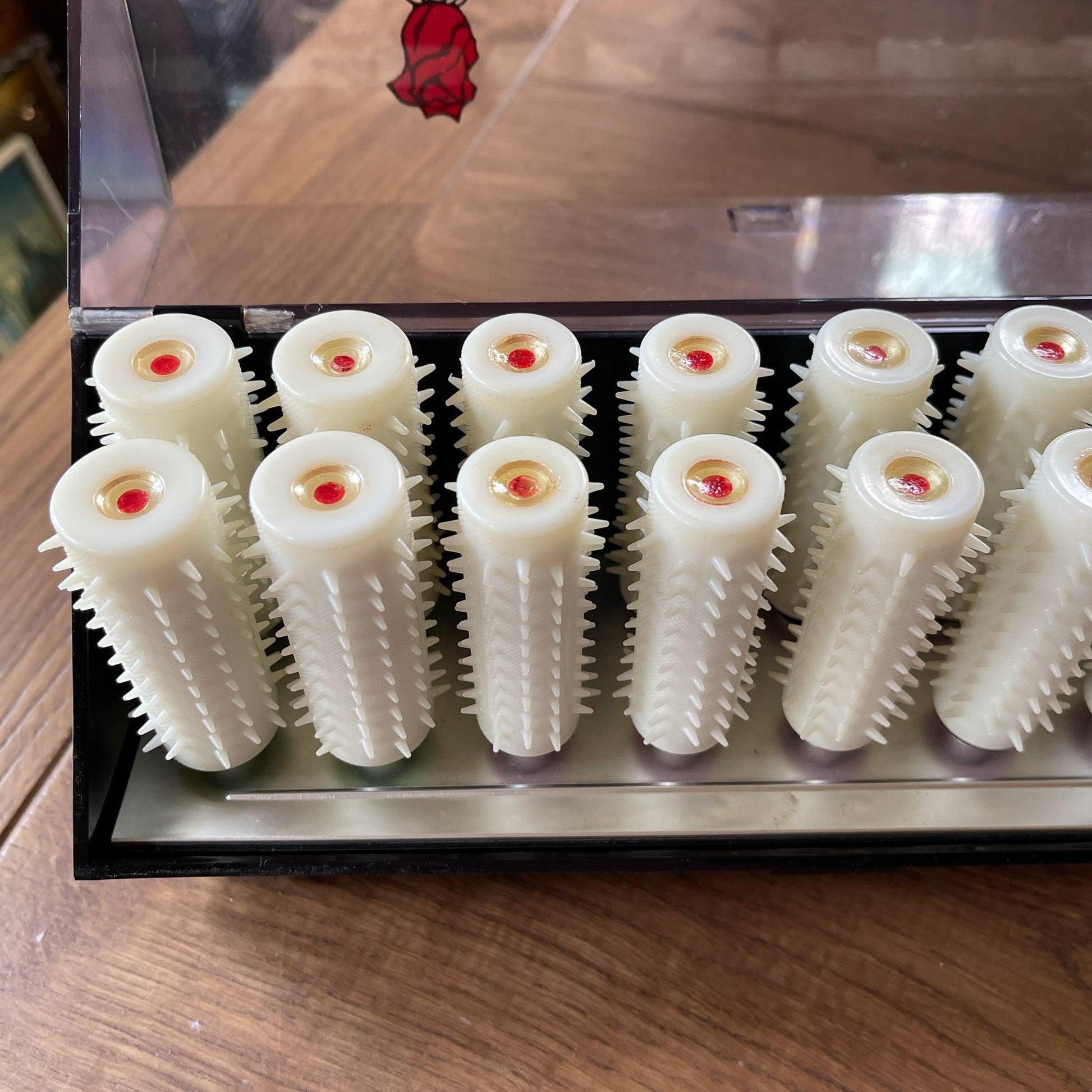 Carmen 18 krulset - Bamestra Curiosa