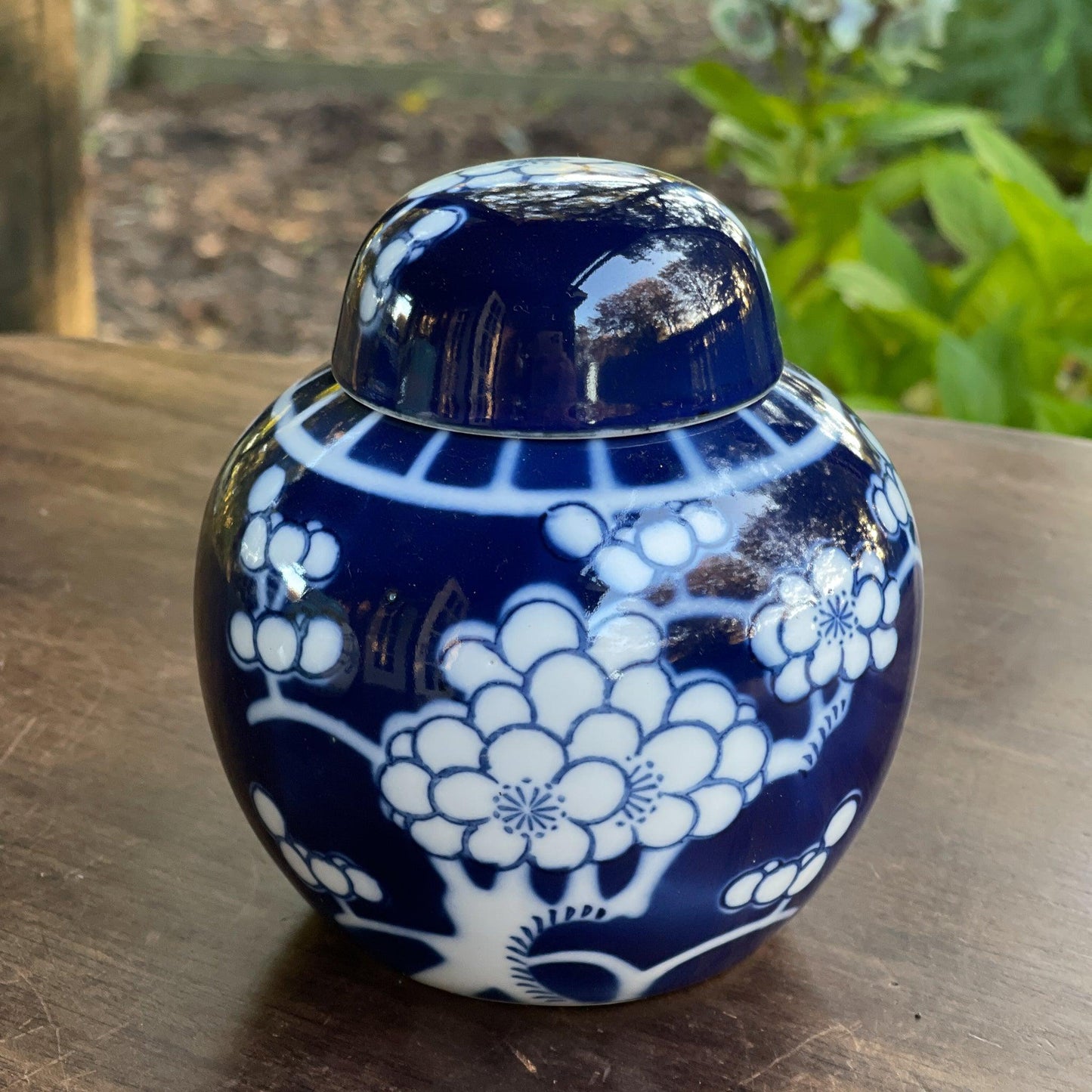 Chinese Gemberpot - Bamestra Curiosa