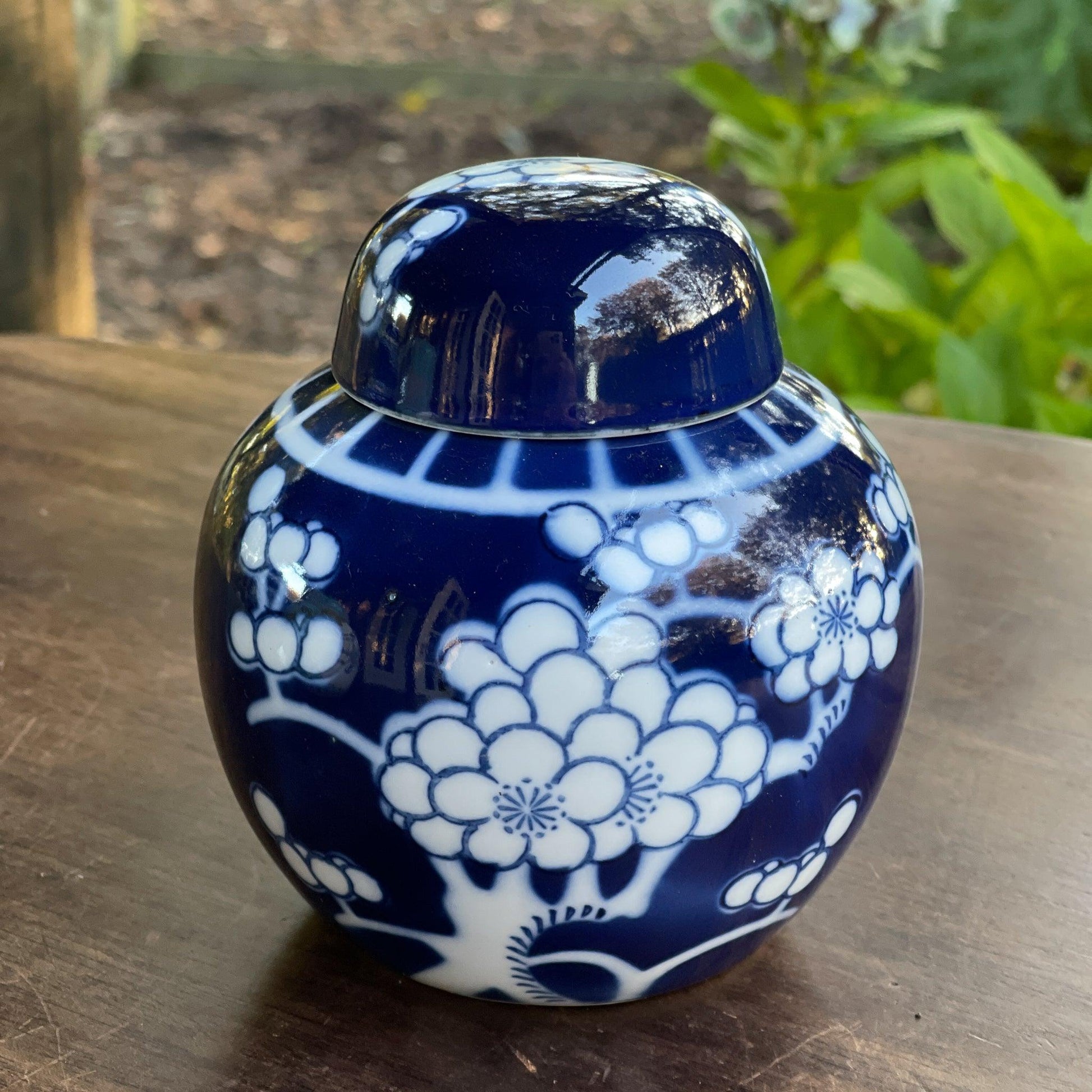 Chinese Gemberpot - Bamestra Curiosa