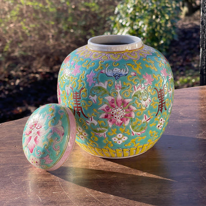 Chinese gemberpot - Bamestra Curiosa