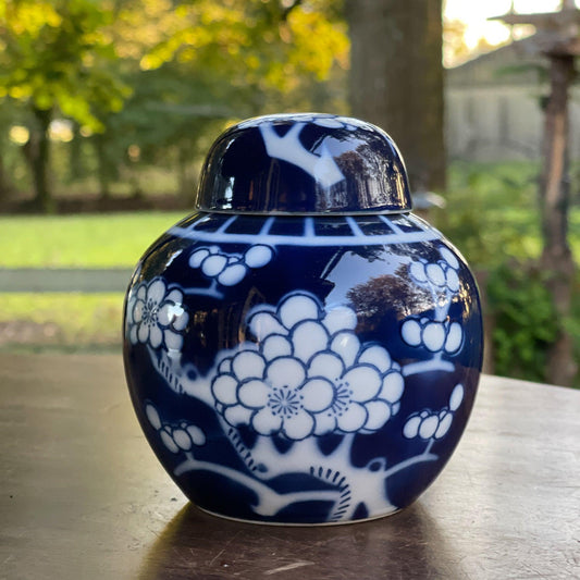 Chinese Gemberpot - Bamestra Curiosa