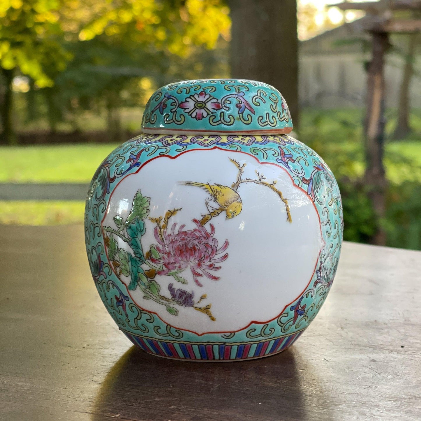 Chinese Gemberpot - Bamestra Curiosa