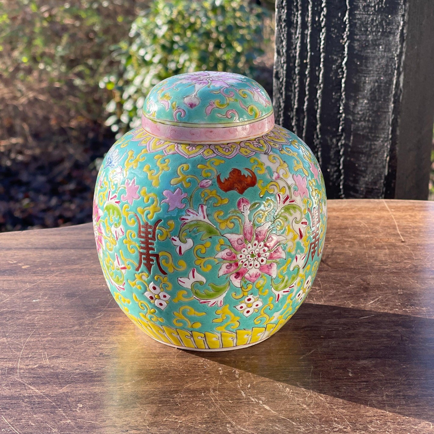 Chinese gemberpot - Bamestra Curiosa