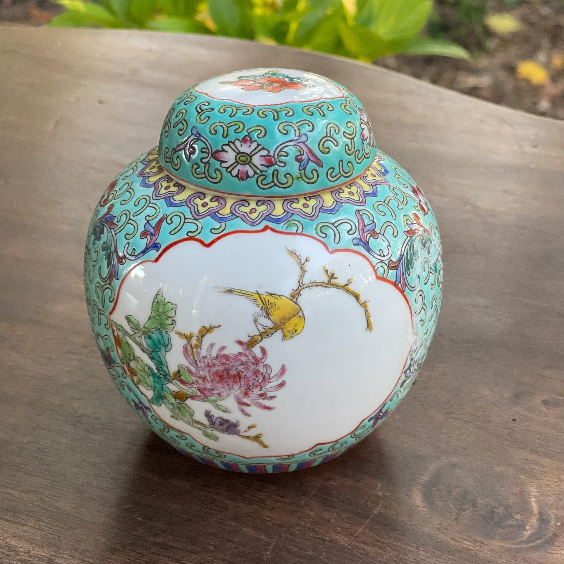 Chinese Gemberpot - Bamestra Curiosa