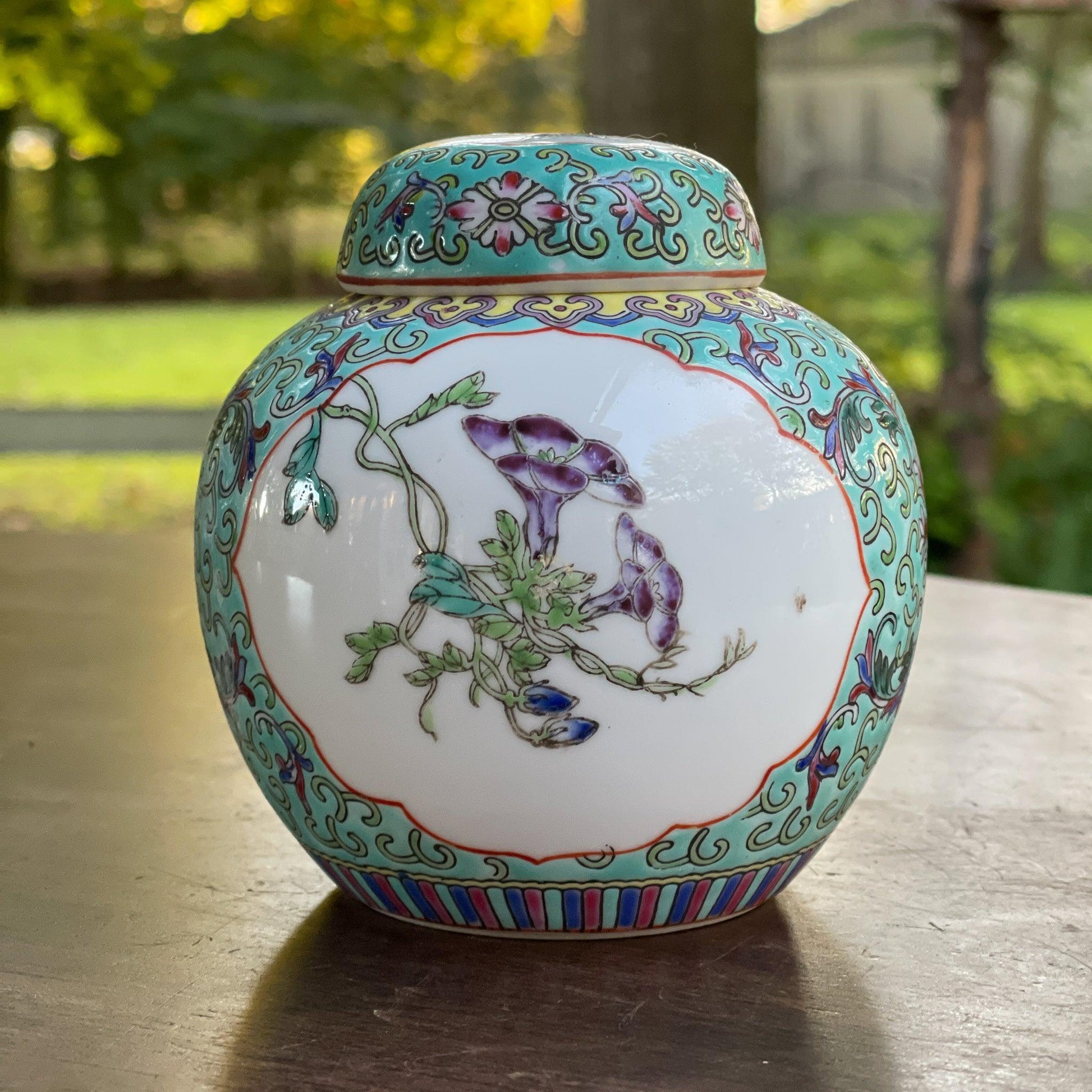 Chinese Gemberpot - Bamestra Curiosa