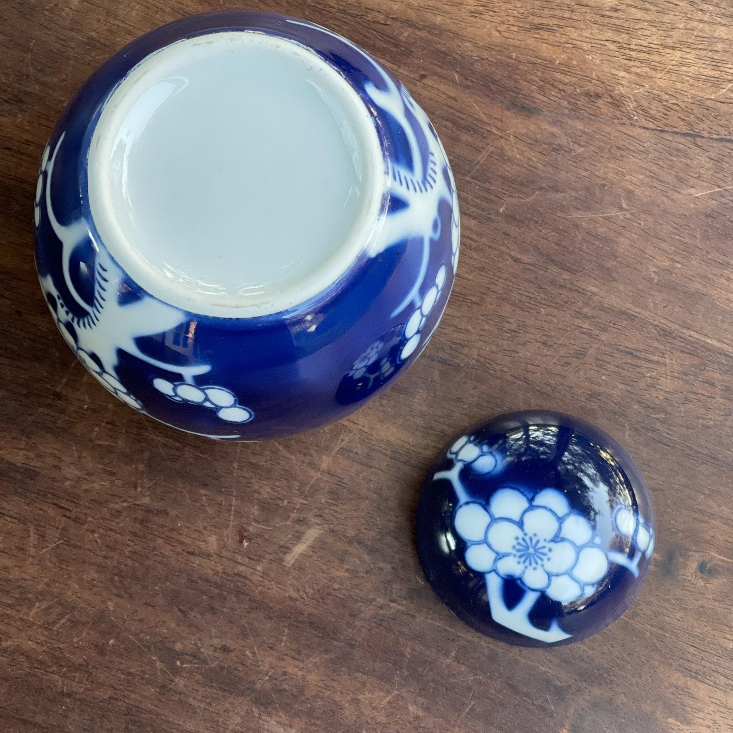 Chinese Gemberpot - Bamestra Curiosa