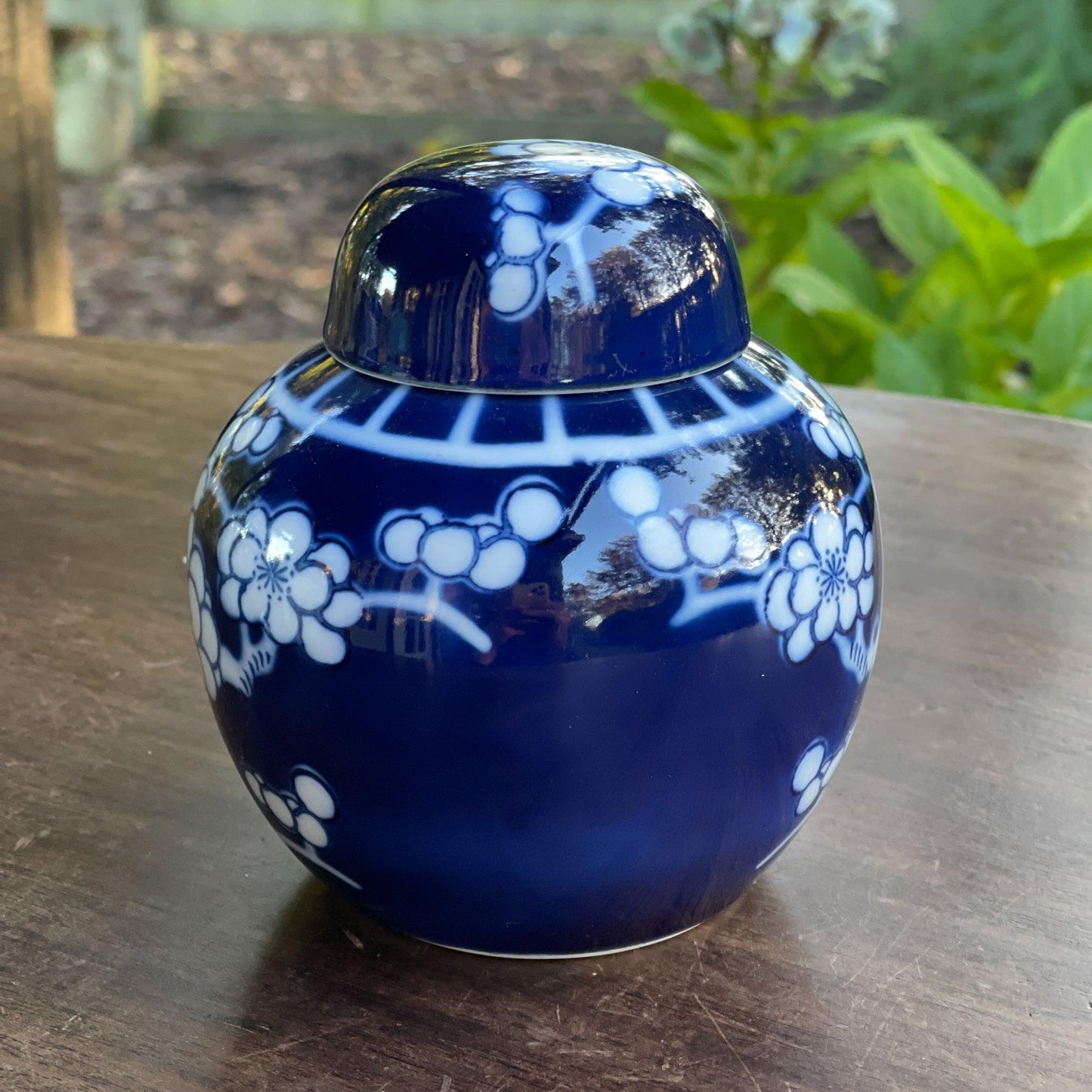 Chinese Gemberpot - Bamestra Curiosa