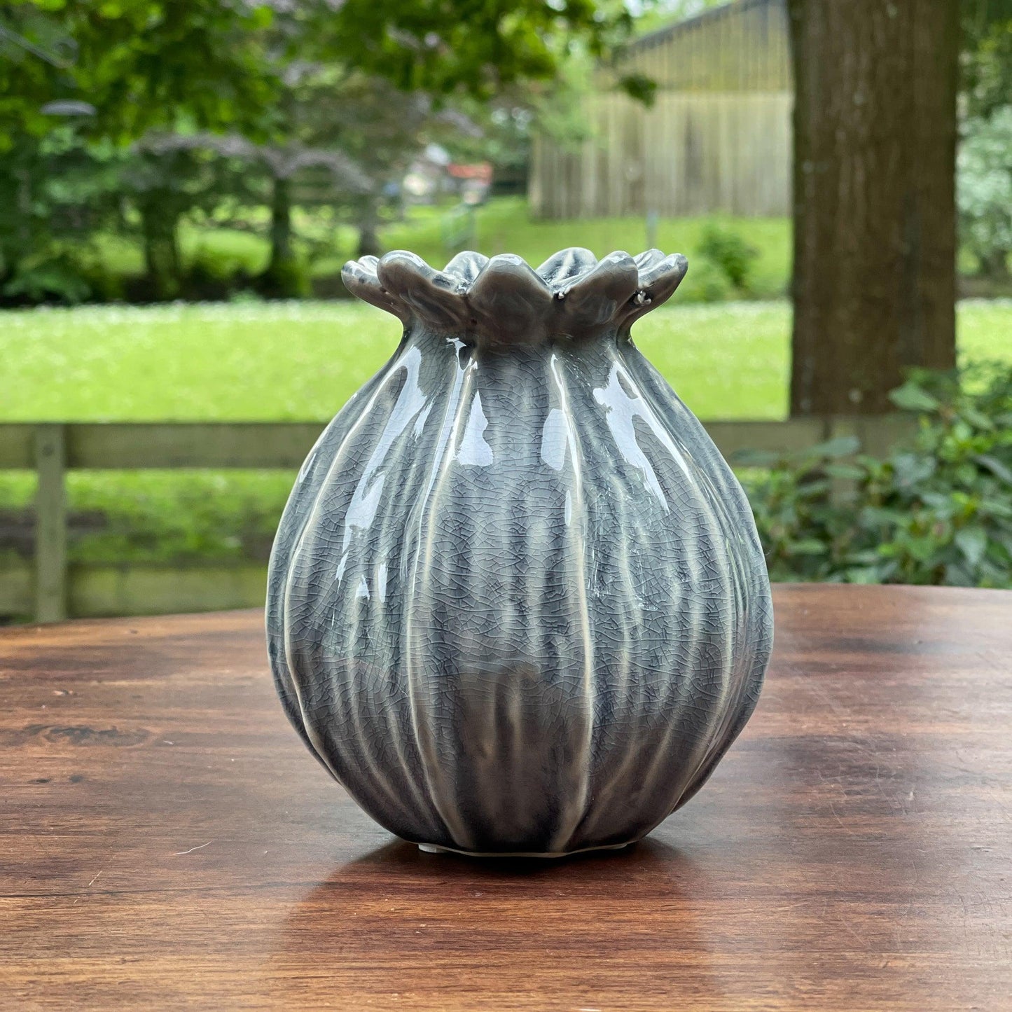 Dalia vaasje - Bamestra Curiosa