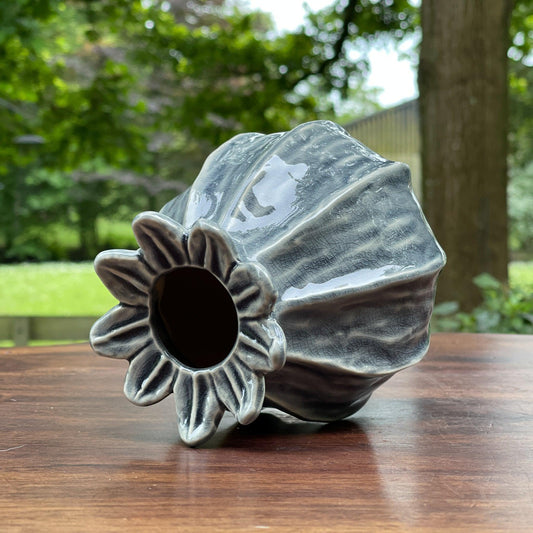 Dalia vaasje - Bamestra Curiosa