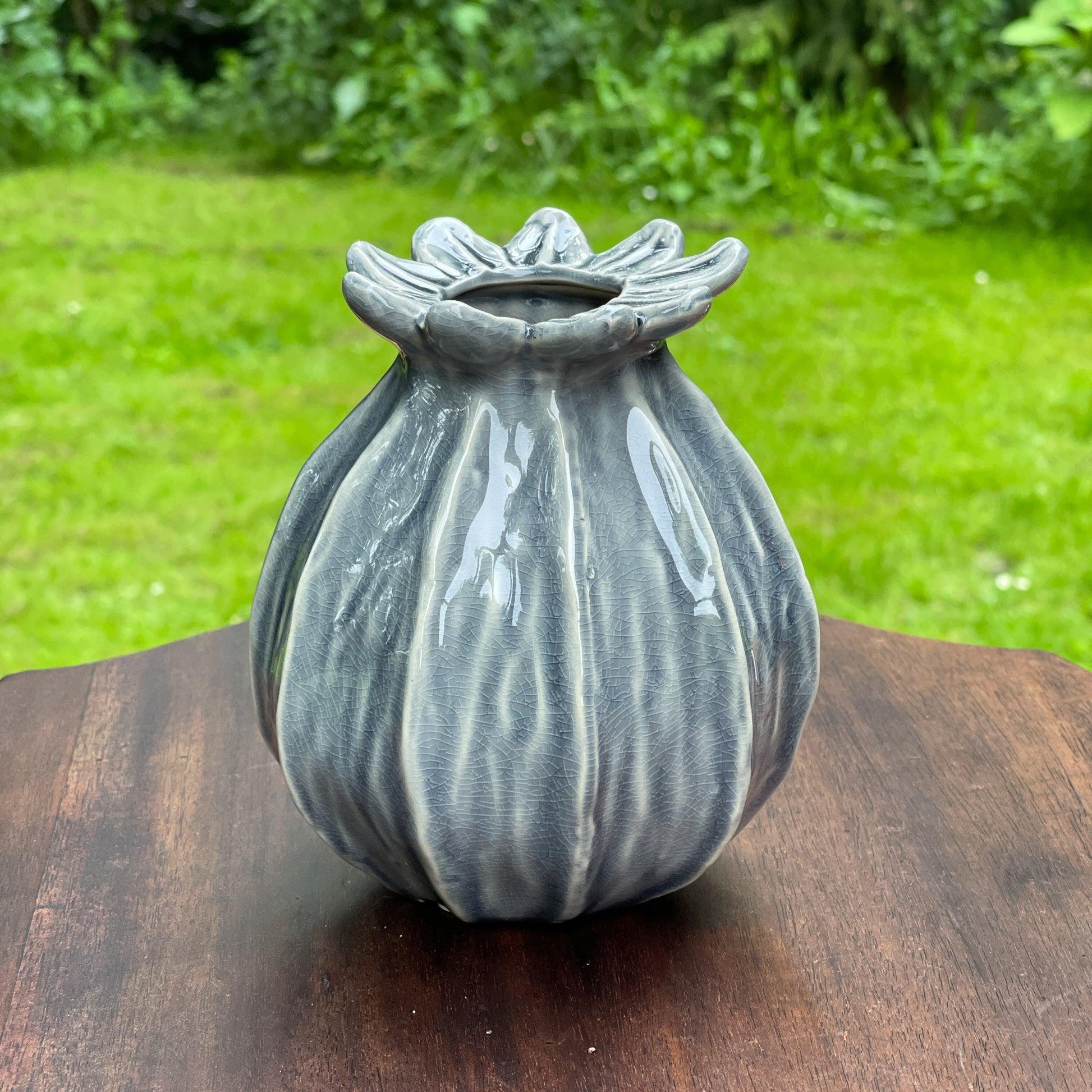 Dalia vaasje - Bamestra Curiosa