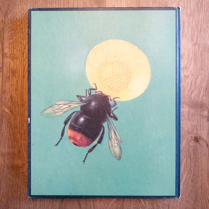 De Bloemen En Haar Vrienden - The Collectionist