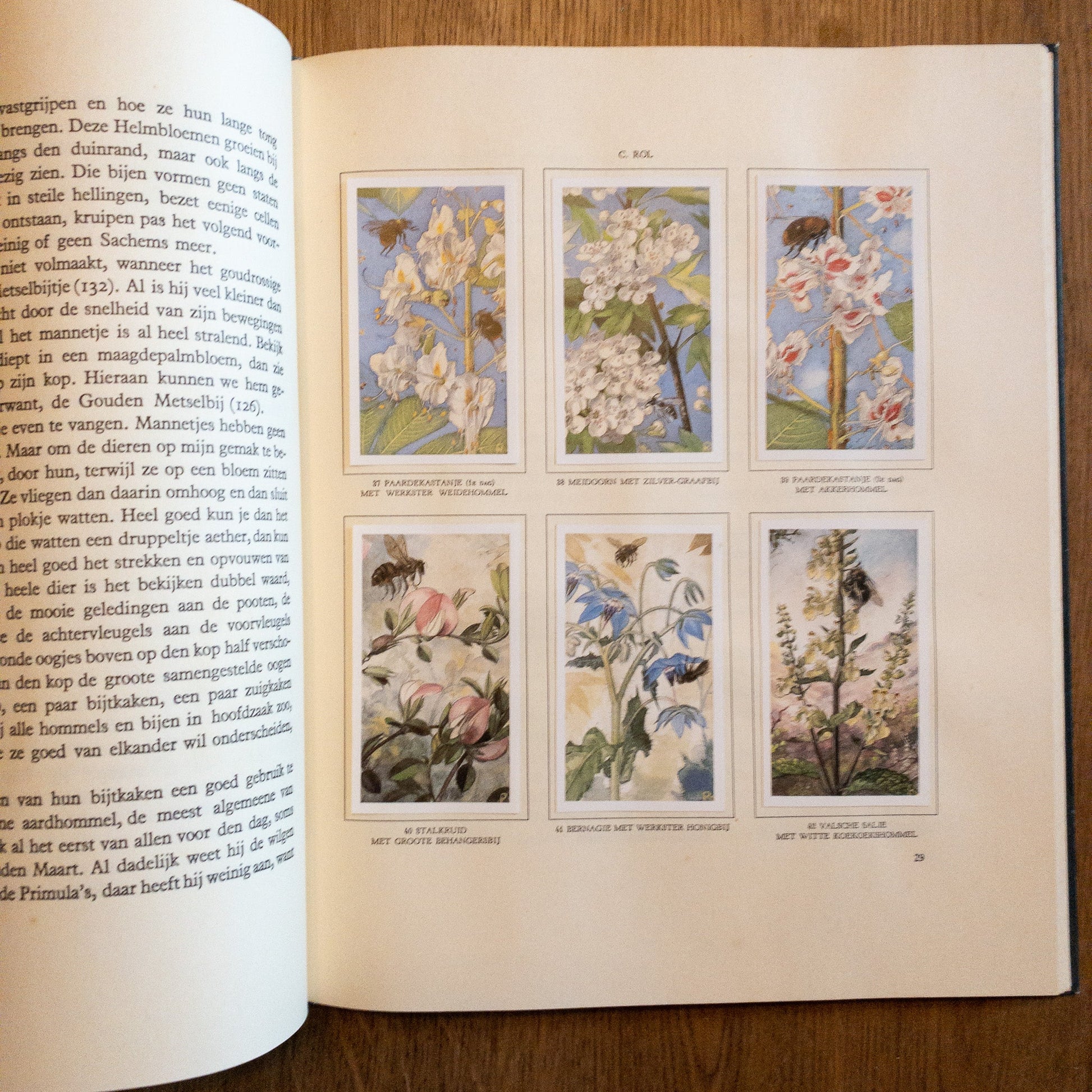 De Bloemen En Haar Vrienden - The Collectionist