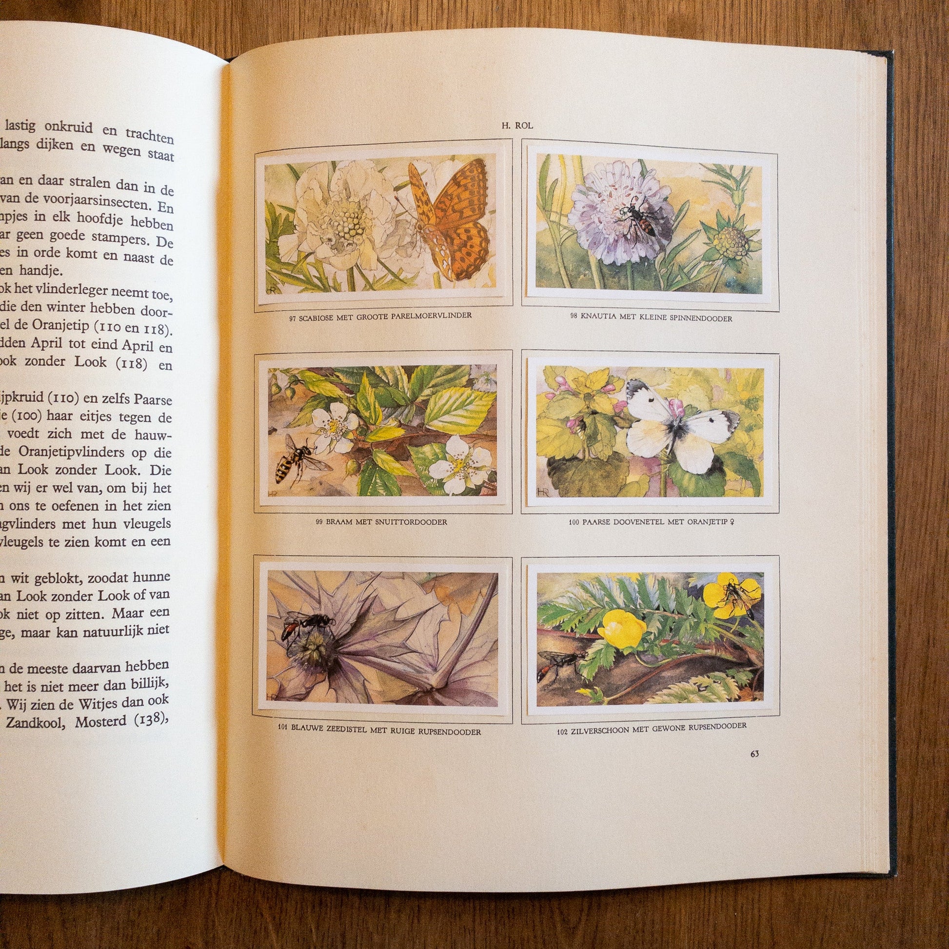 De Bloemen En Haar Vrienden - The Collectionist